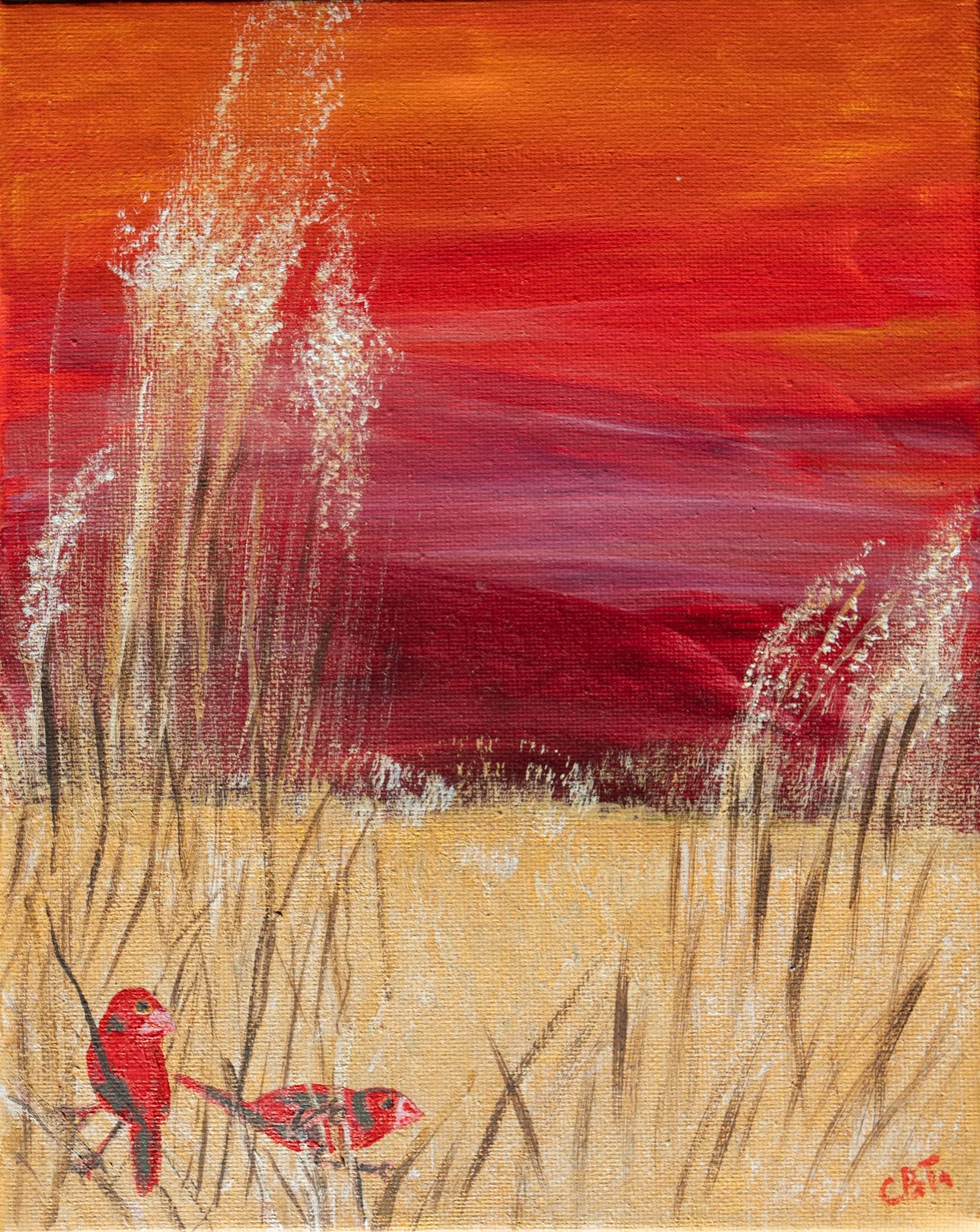 Carolyn Brennan-Tucker_Crimson Finch 1.jpg