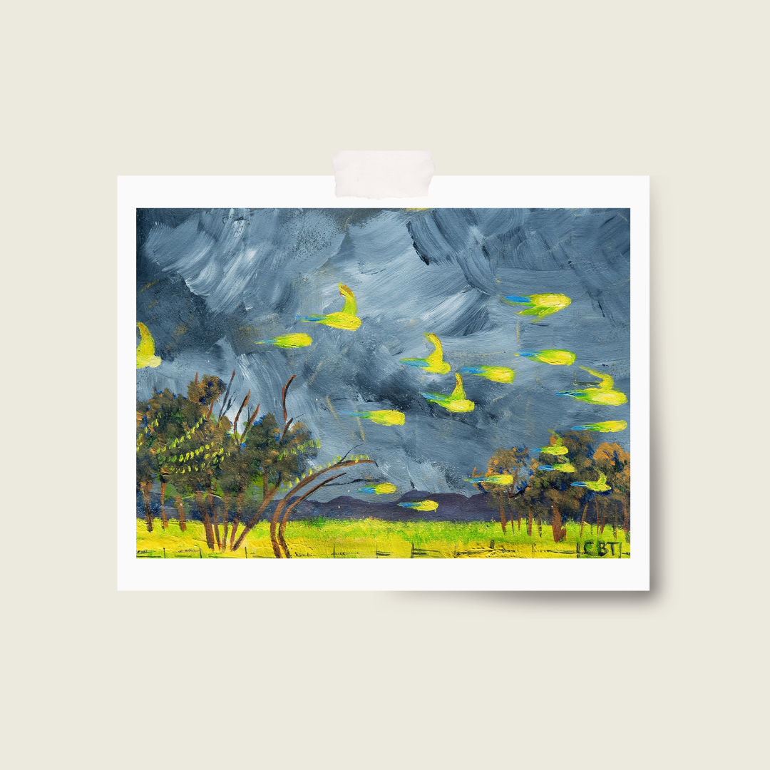 budgies.png