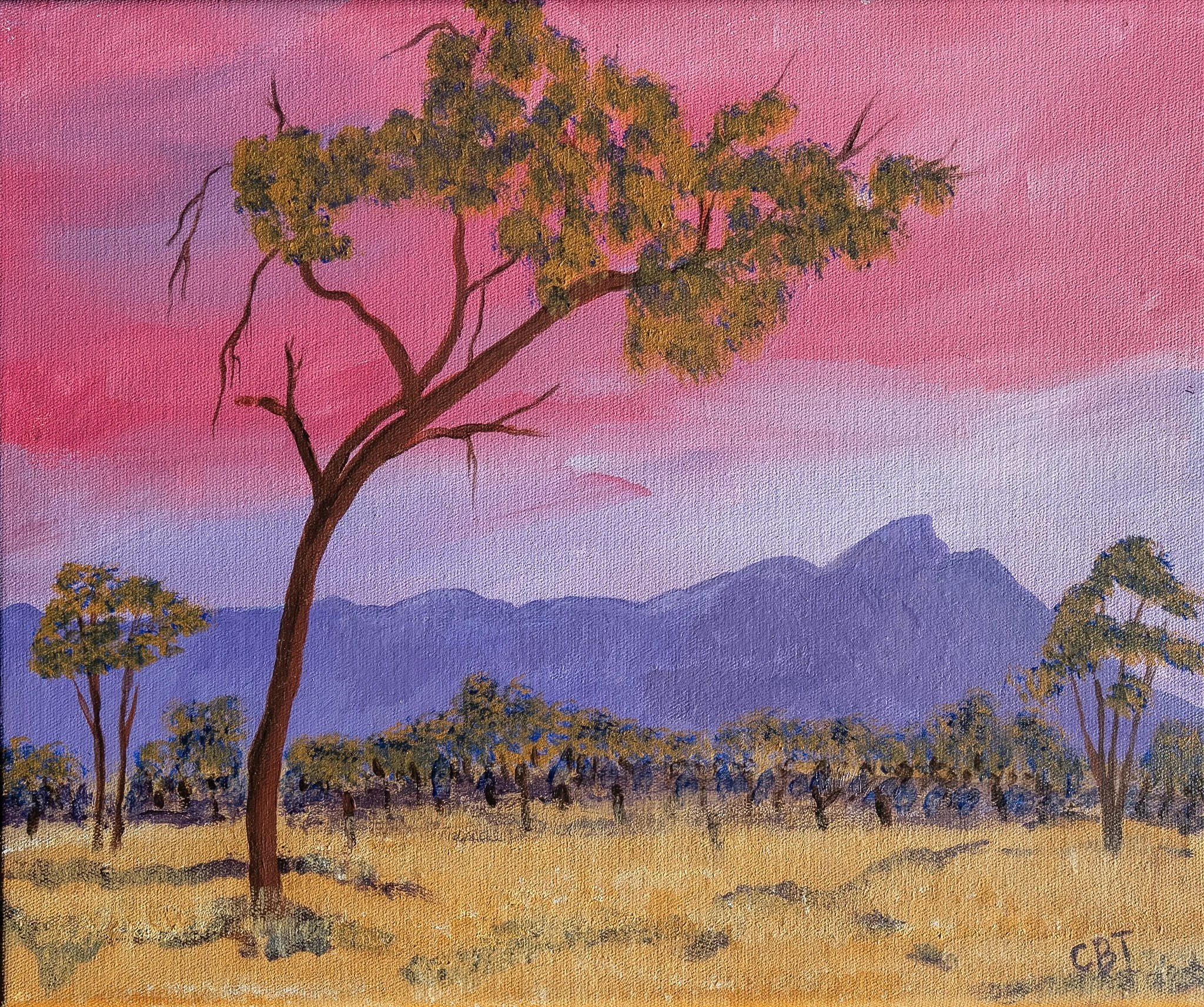 Carolyn BrennanTucker_Track to the Airstrip 3.jpg