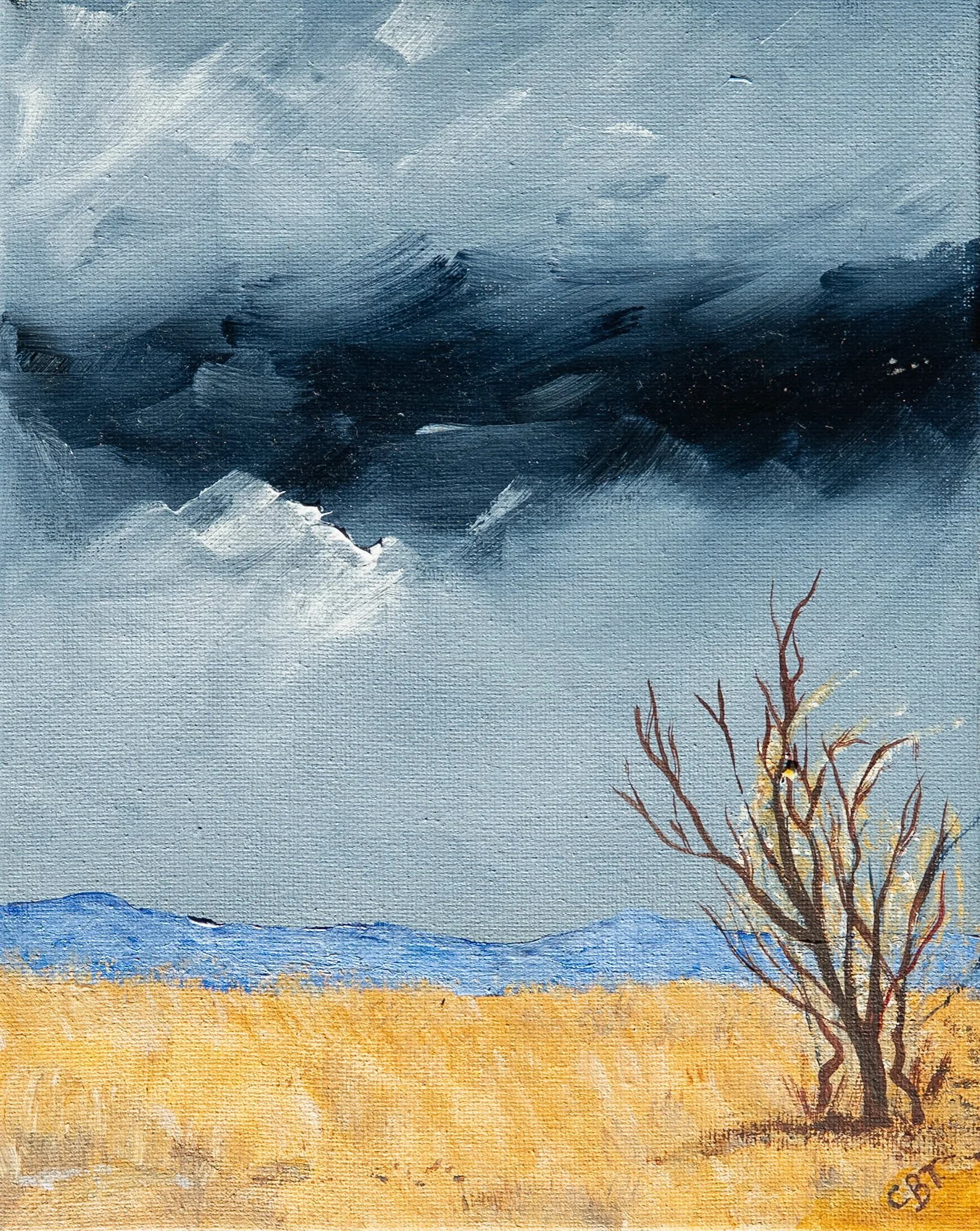 Carolyn Brennan-Tucker_A Storm Has Passed 2.jpg