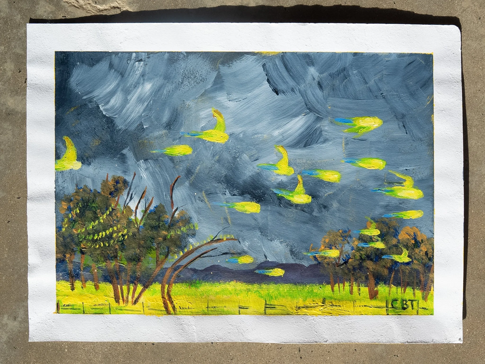 Budgie Study.jpg