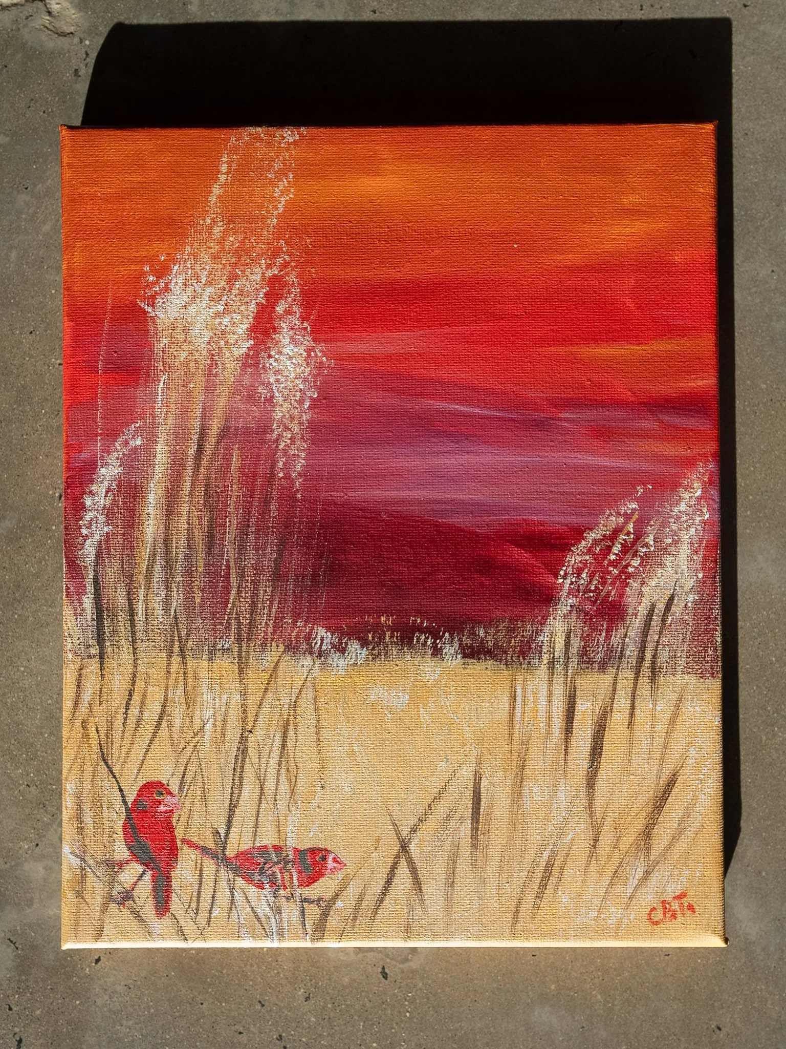 Carolyn Brennan-Tucker_Crimson Finch.jpg