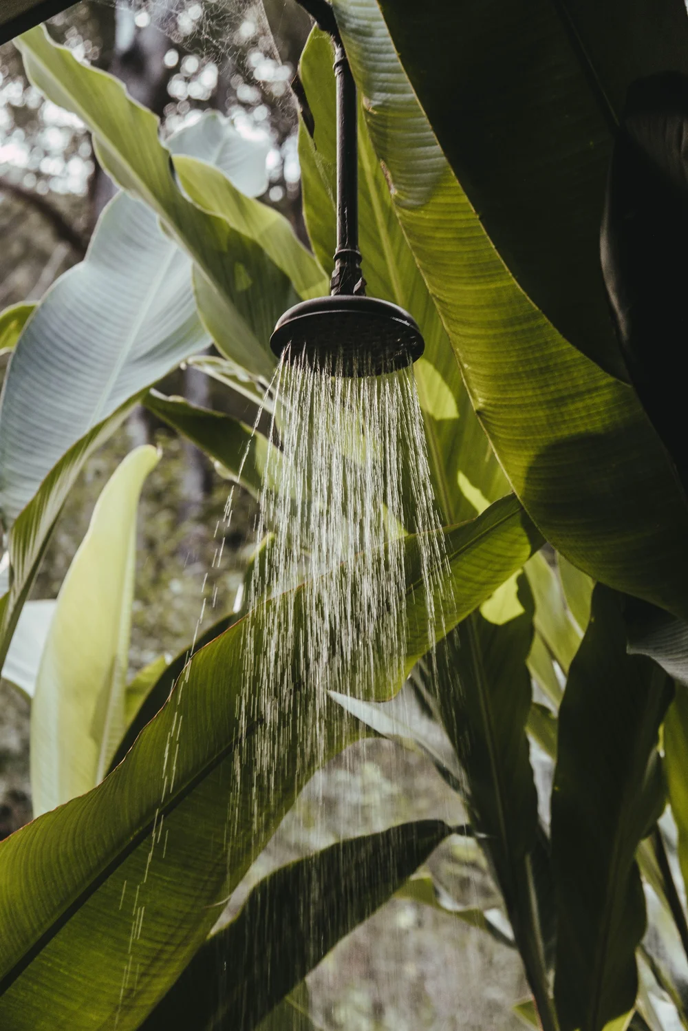 Outdoor shower in the leaves