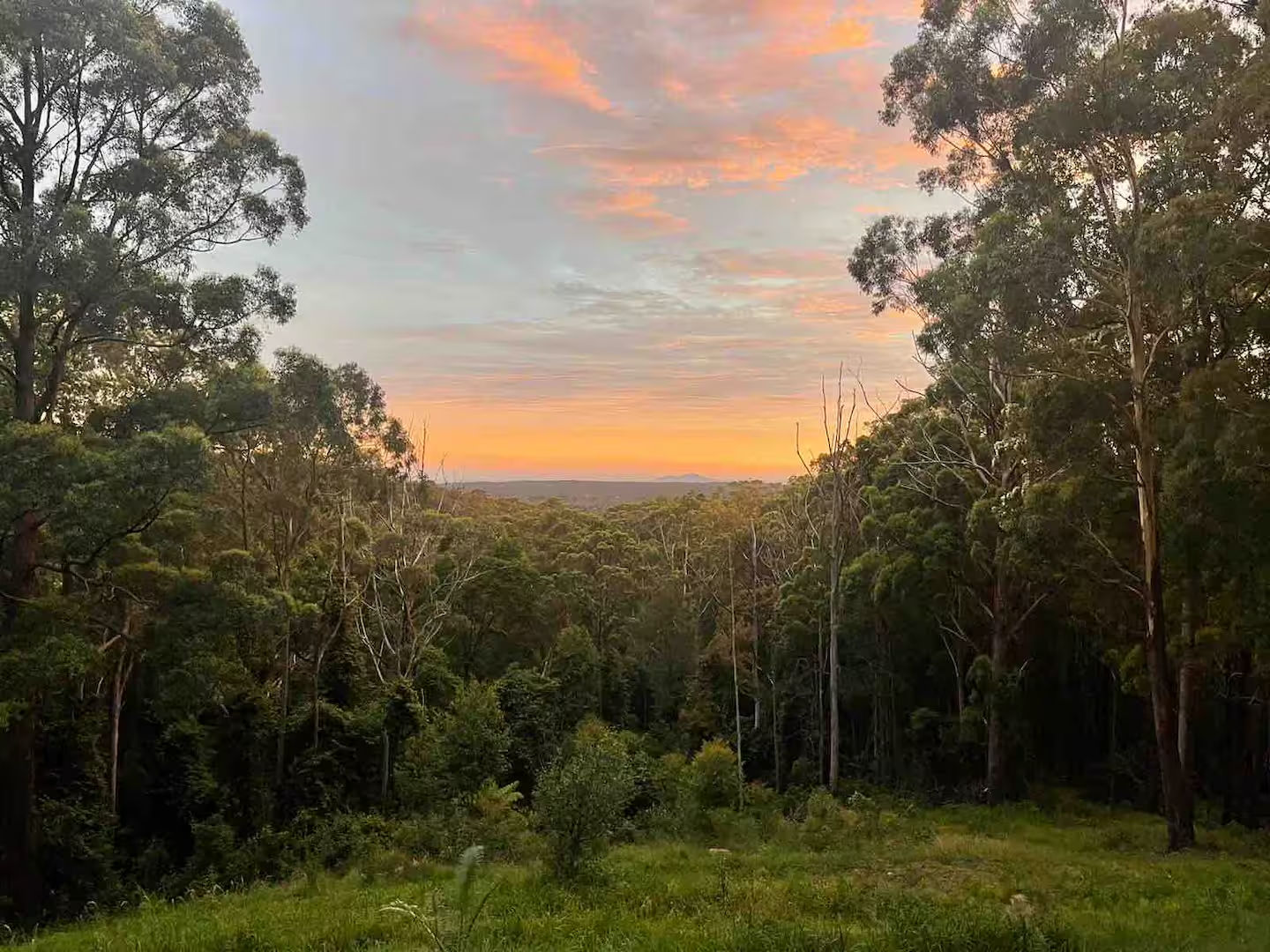 7f2f7004-80fe-4cfa-9d6a-ece762624f61 (1).png