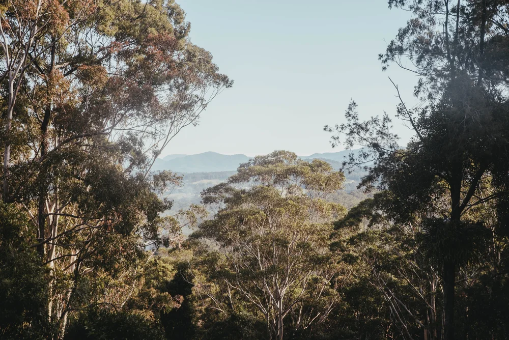 View from the deck