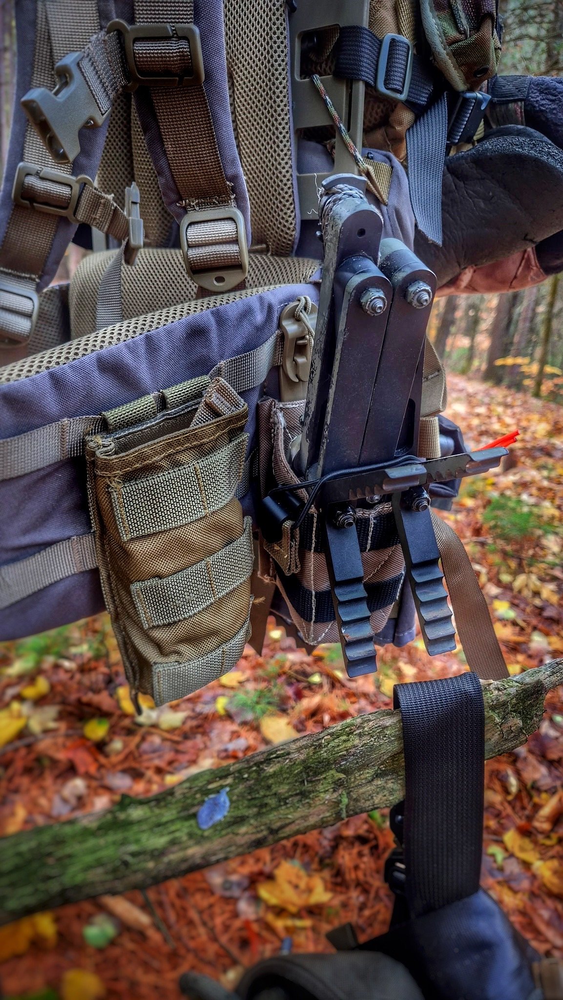 104727581390655641 2.jpg