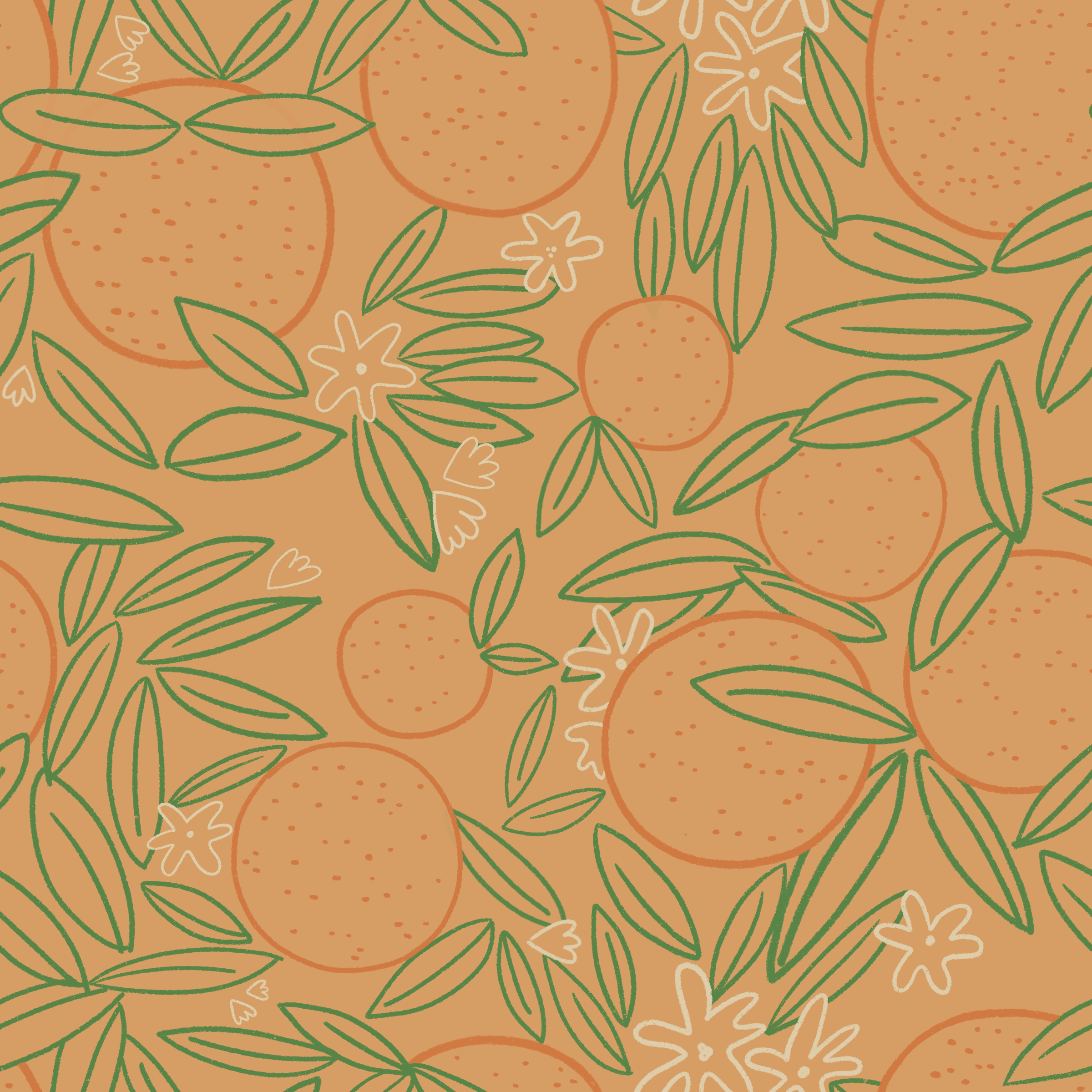 Orange Tree in Bloom-Line-O-HW26-A05