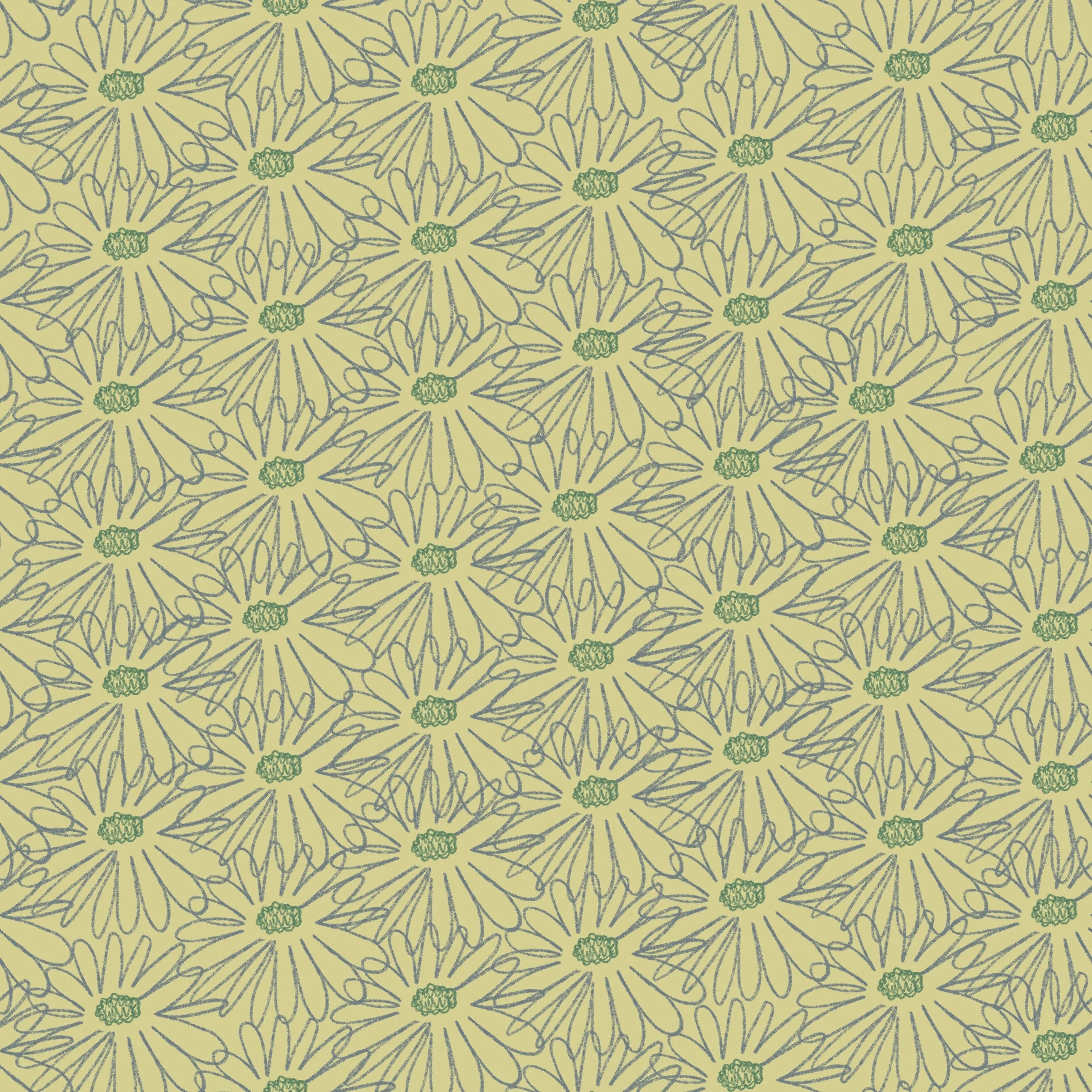 Aster Field-Pale Green-HW24-C90