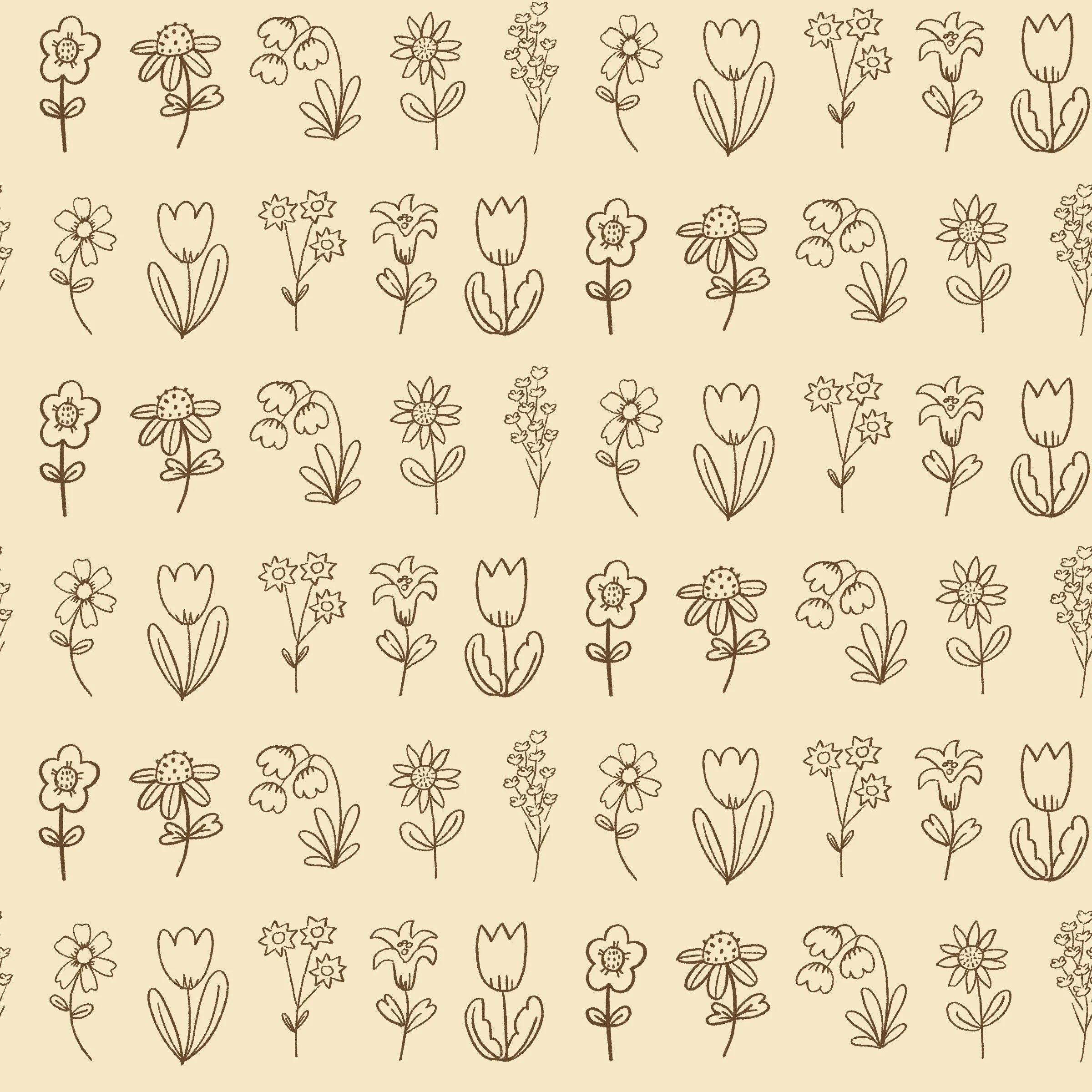 Wildflower Fields Outline-Beige-HW24-B27