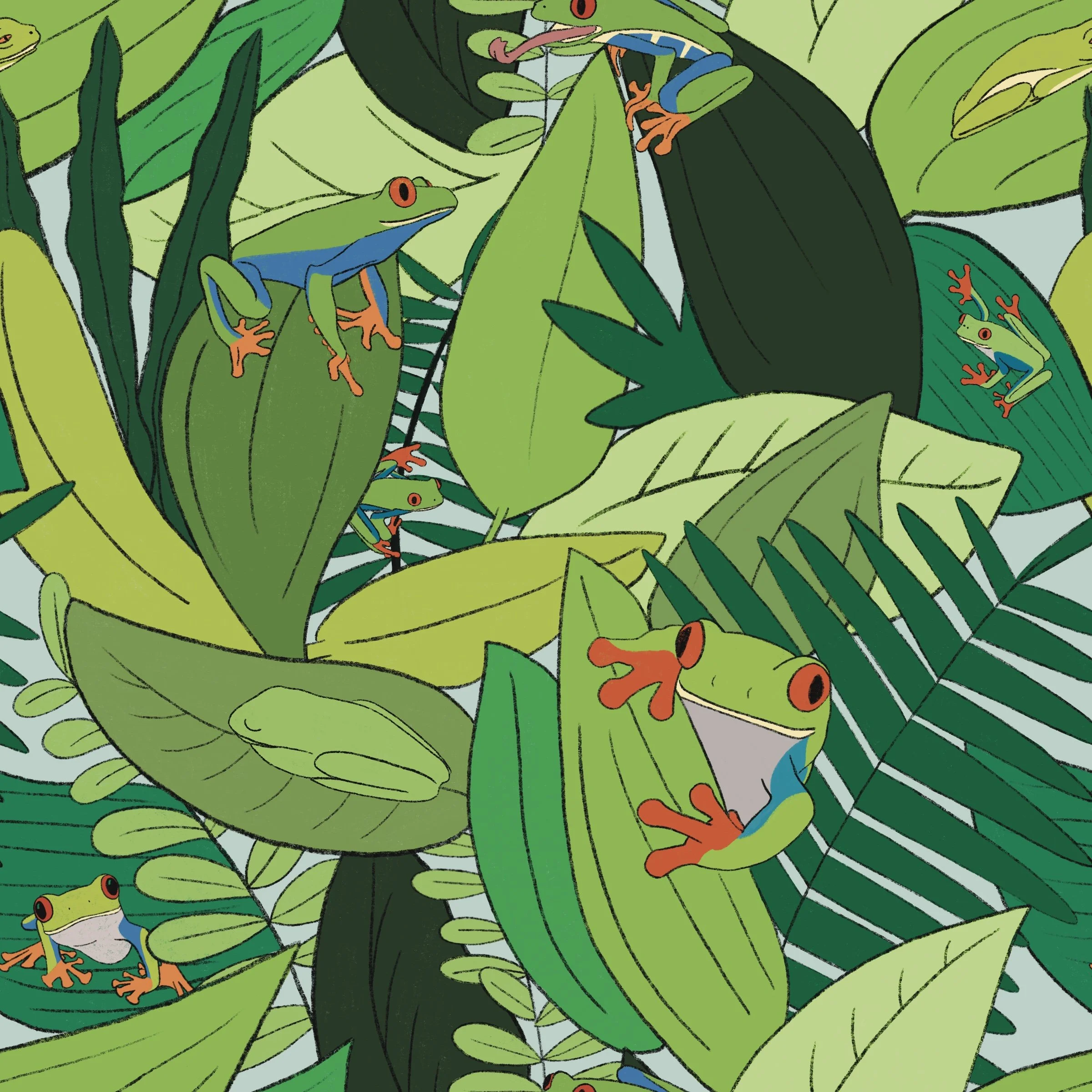 Red Eyed Tree Frog - HW25-A93