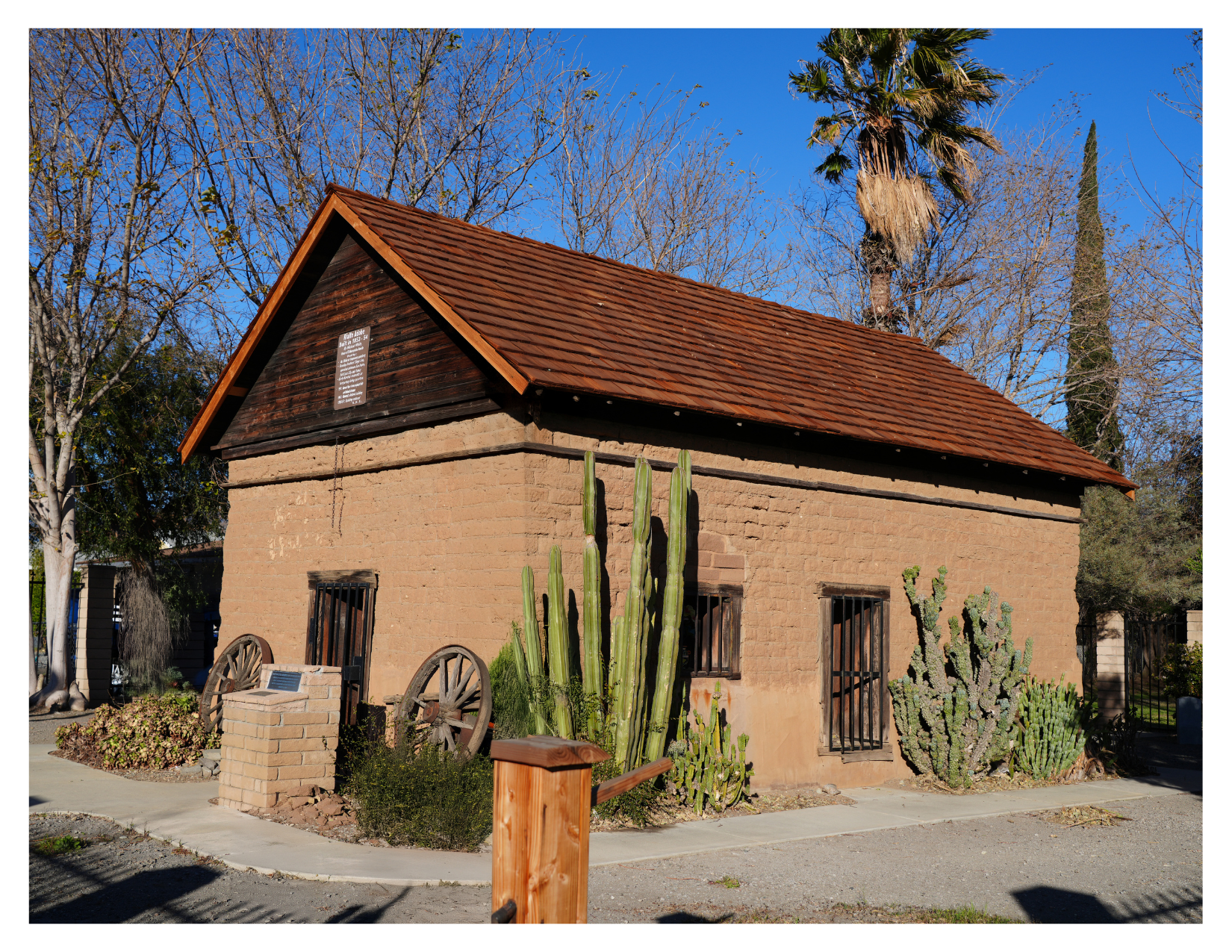 A small, rustic building with a brown shingled roof and adobe walls, decorated with large cacti in the front yard, flanked by trees with bare branches and a clear blue sky.