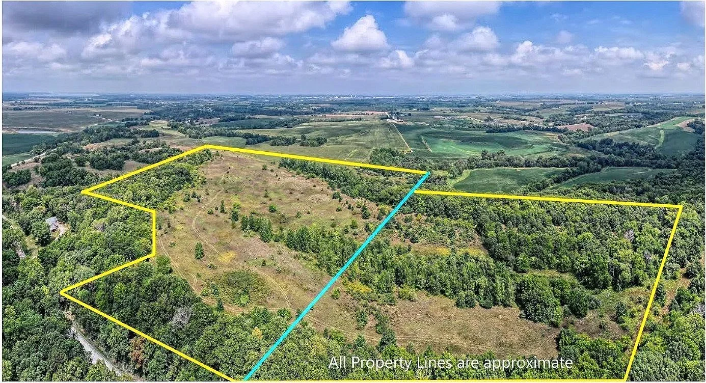 Property Lines Photo.jpg