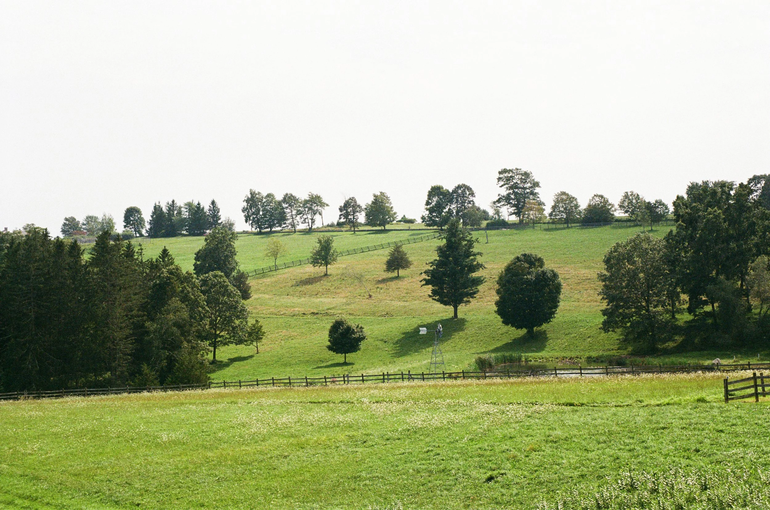 Litchfield Farm 1.jpg