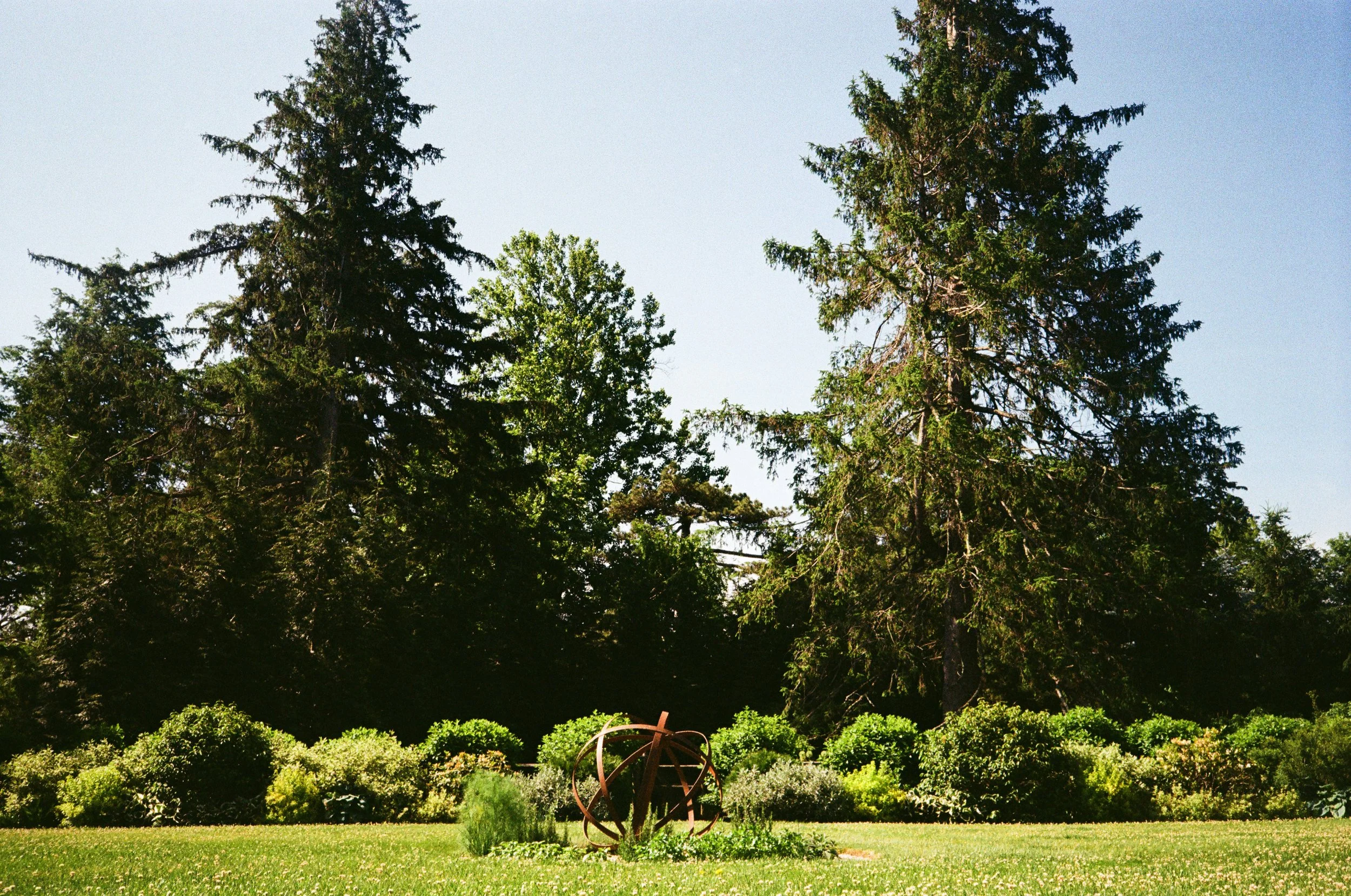 Del Monica Back Yard.jpg