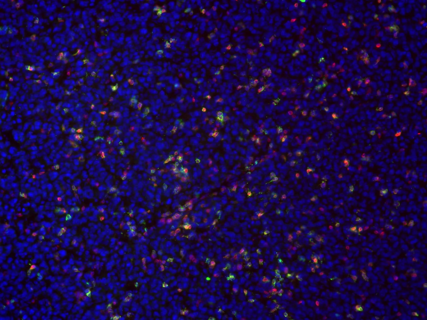 Research kersten lab