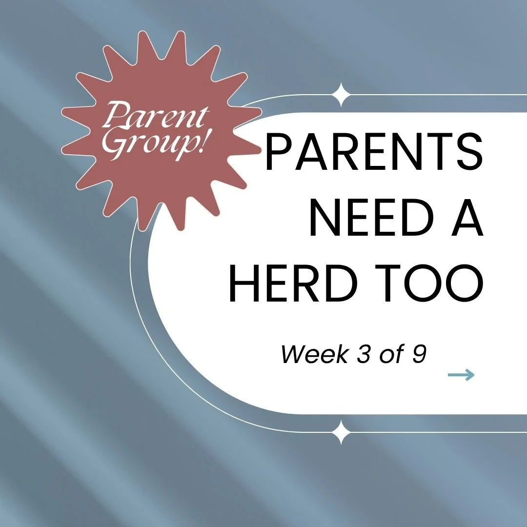 Family Therapy and Autism Parenting Support in Olathe, KS