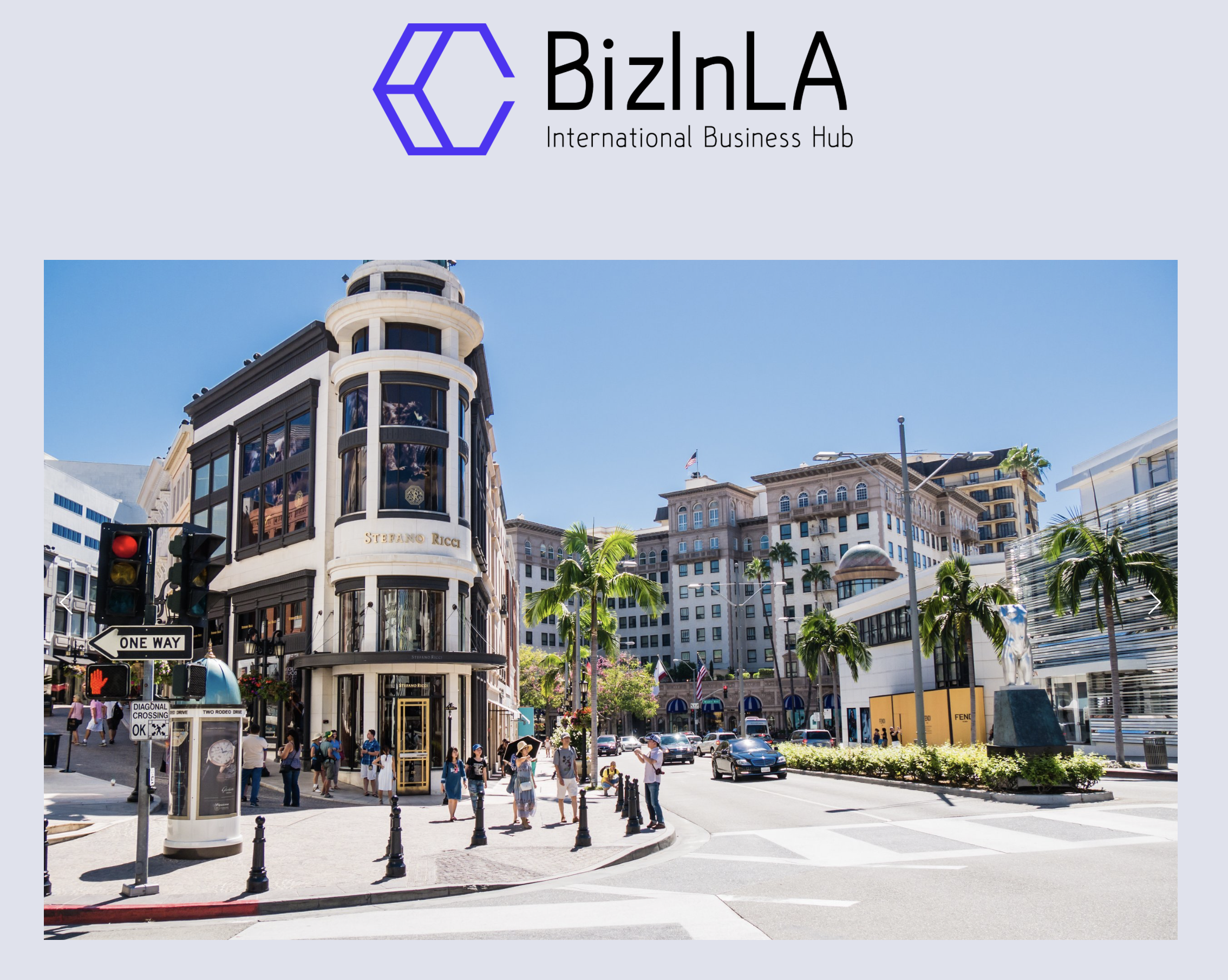 Services — Biz In LA