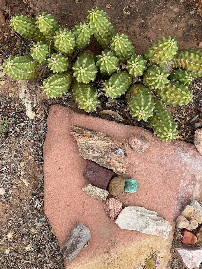 Cacti and Rocks.jpg
