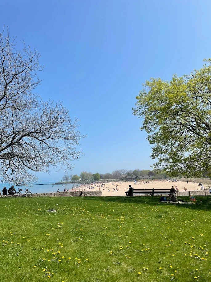 Montrose Beach from far.jpg