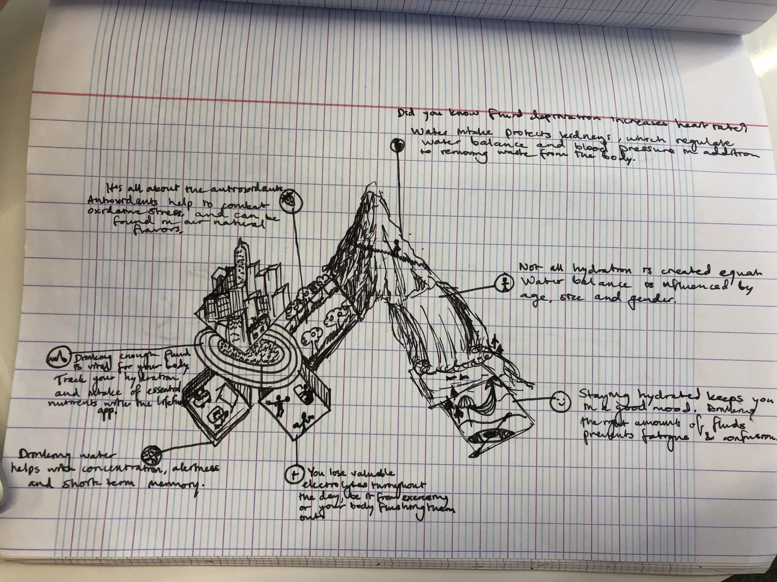 Infographic Design for LifeFuels