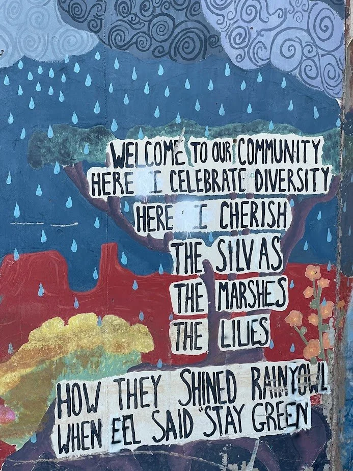 Here I Cherish Diversity.jpg