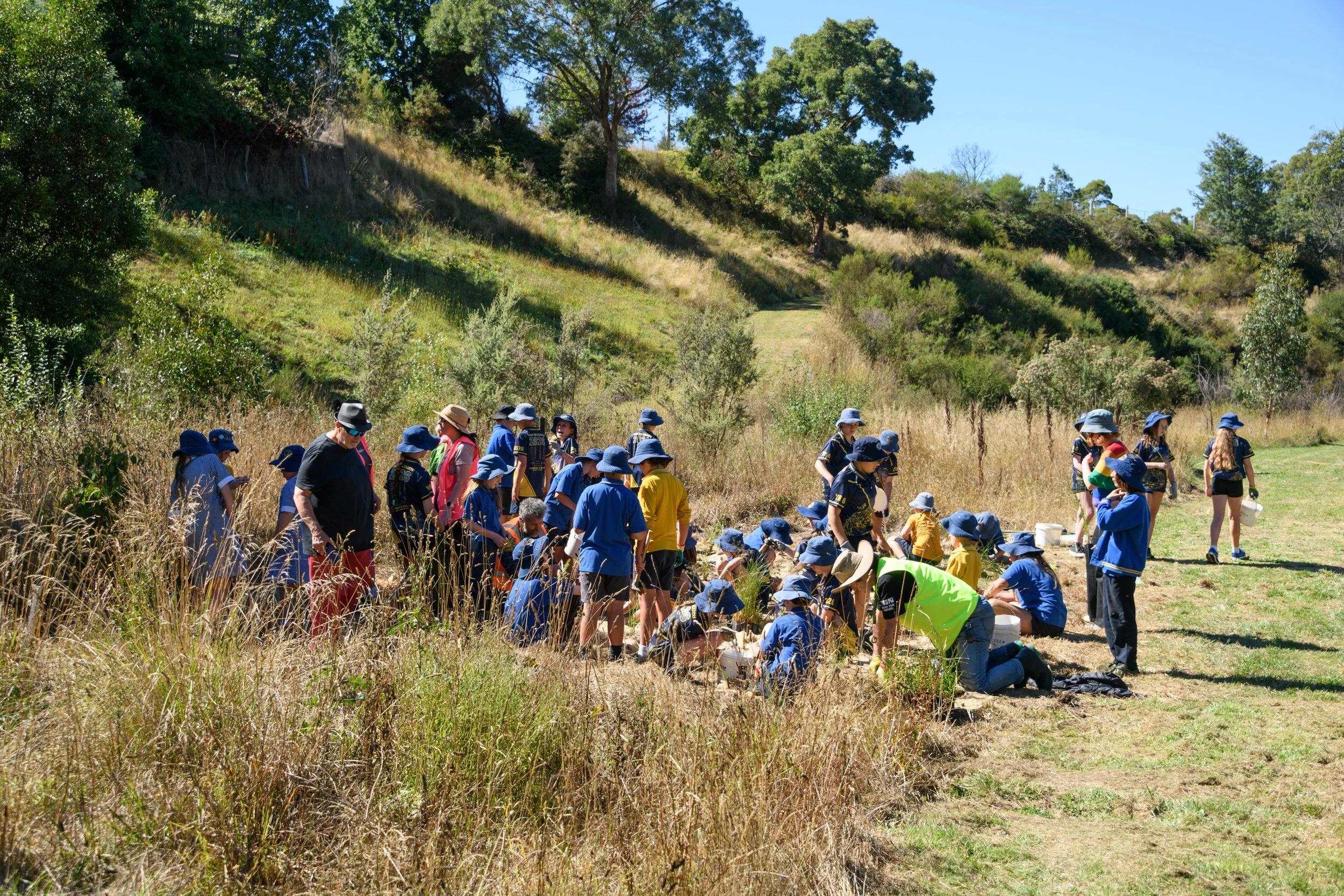 Grove of Gratitude - ChillOut 26-11.jpg