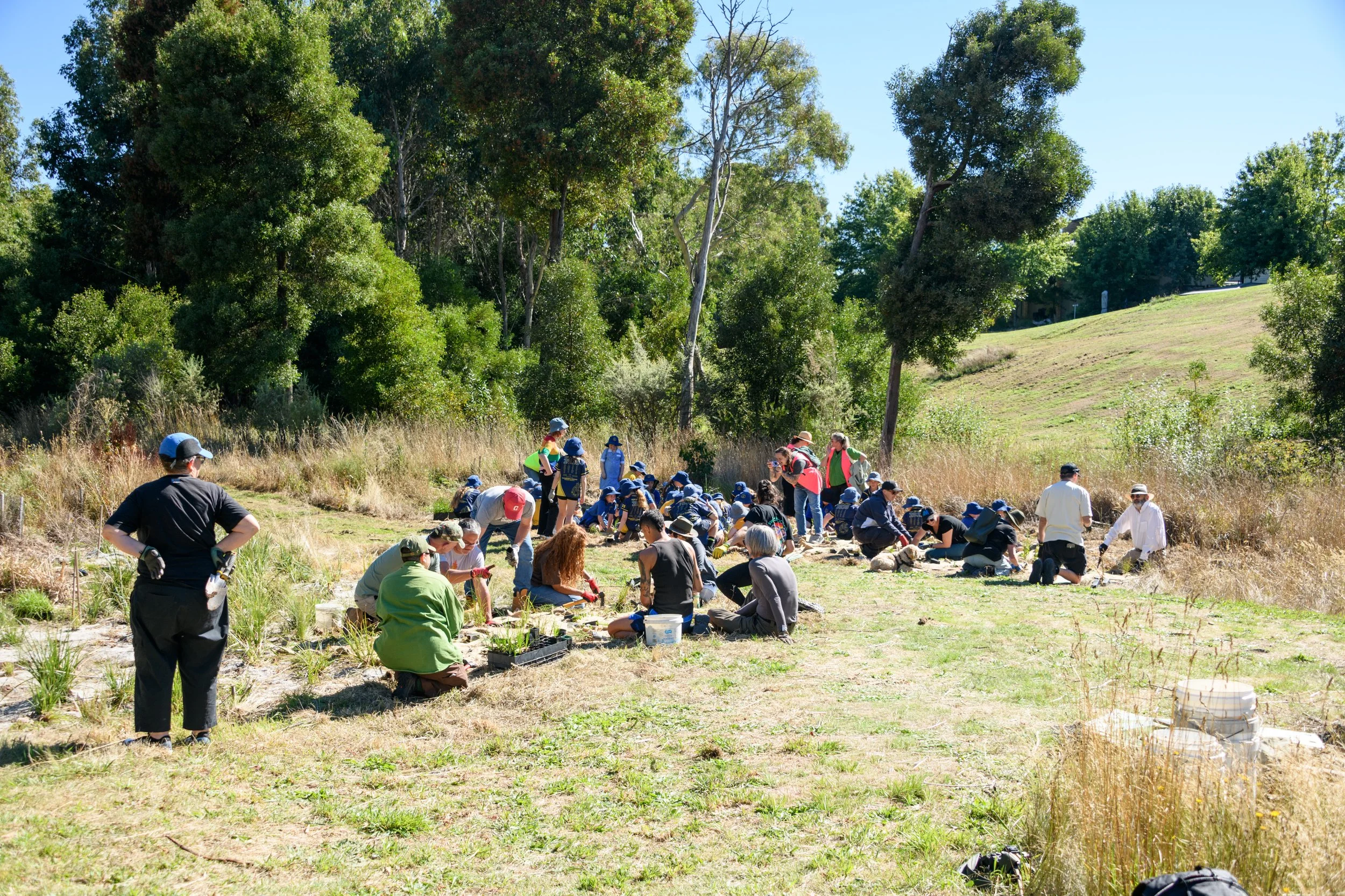 Grove of Gratitude - ChillOut 26-6.jpg