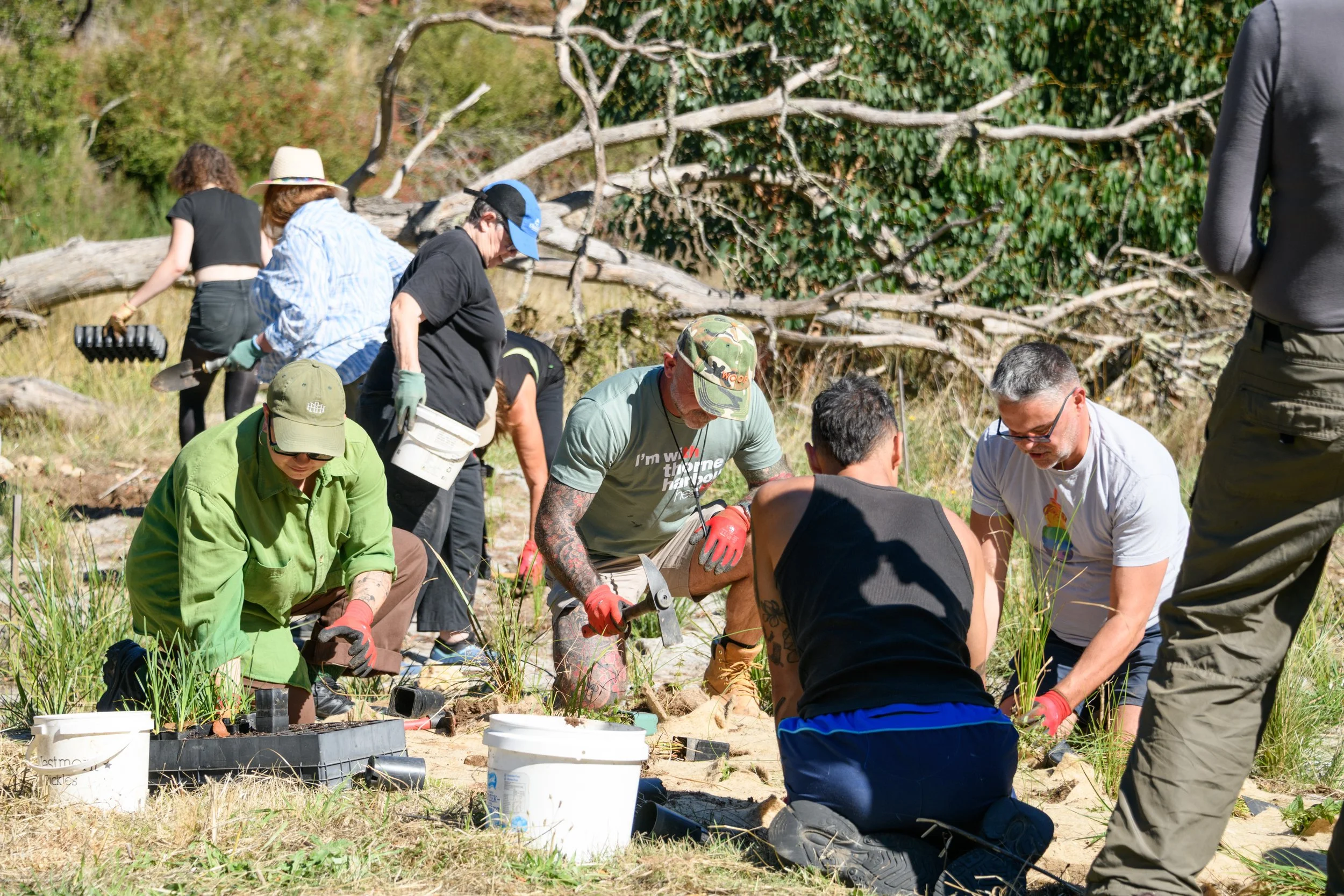 Grove of Gratitude - ChillOut 26-5.jpg