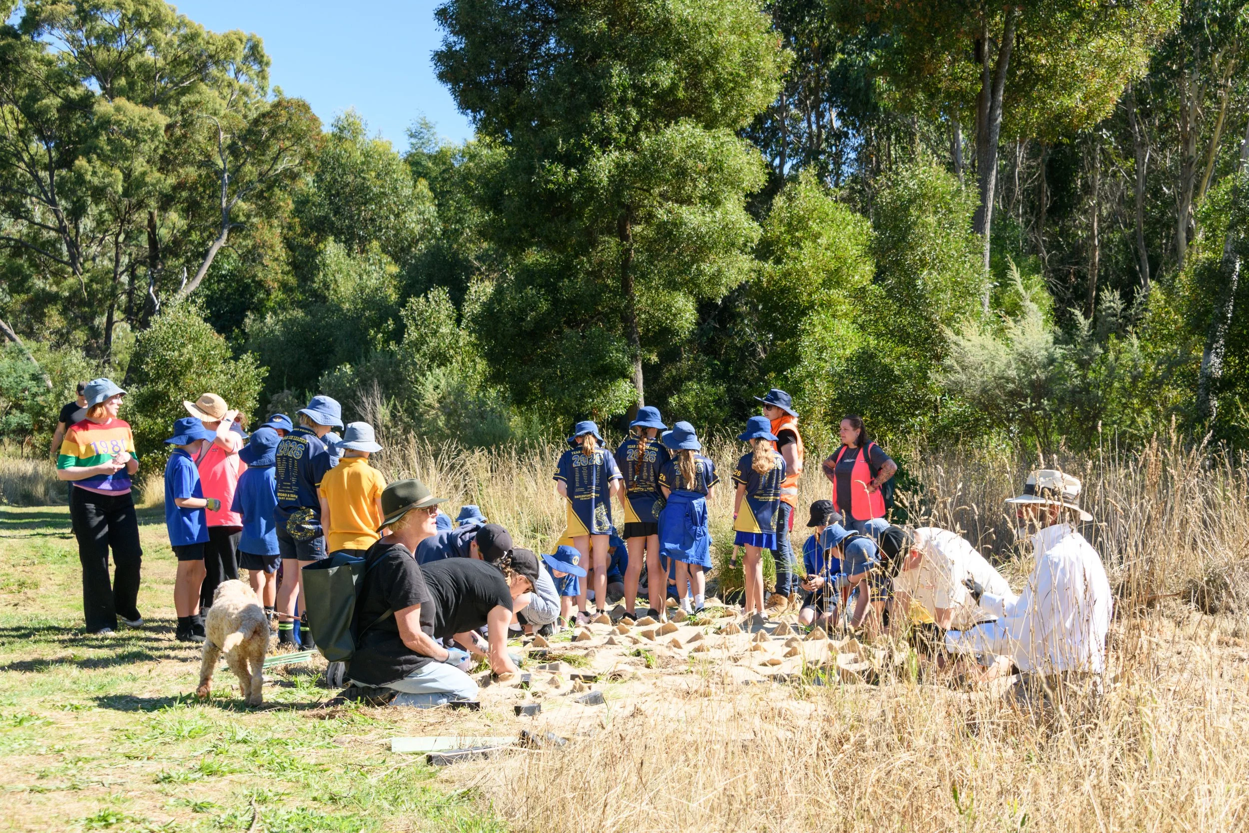 Grove of Gratitude - ChillOut 26-4.jpg