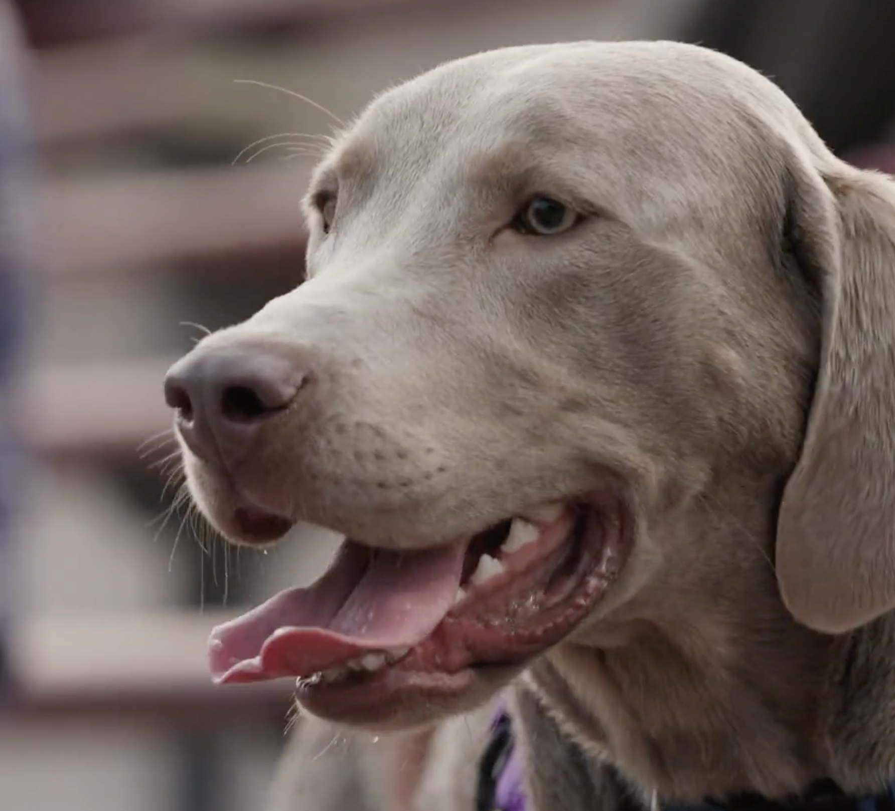 Related Video Item Thumbnail