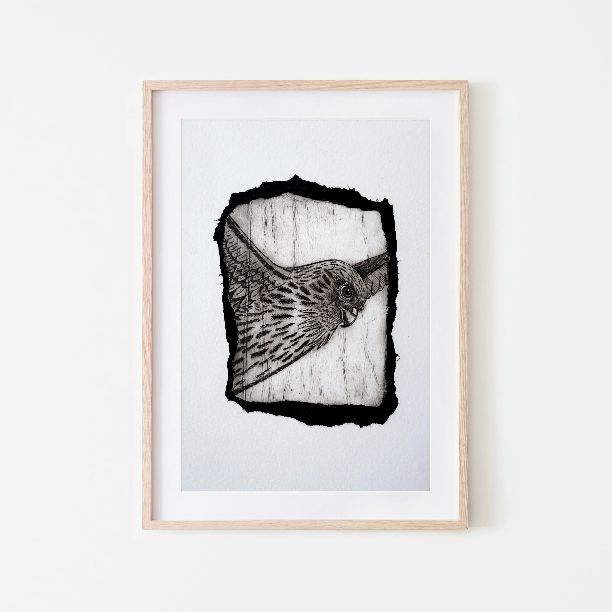Drypoint Print - The Wind-Held Kestrel