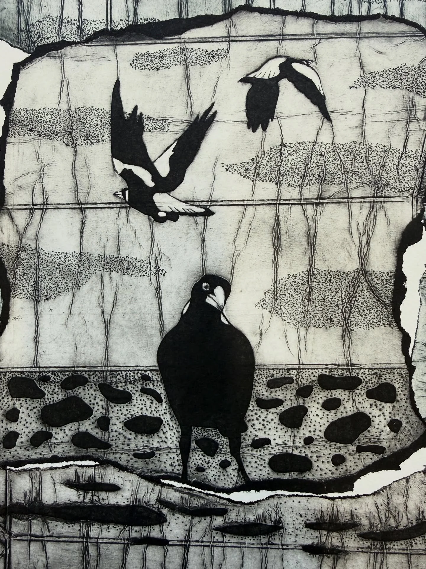 I just love when Australian magpies check you out, with their inquisitive little head tilts. It&rsquo;s almost like this little dude decided to stick around and form an opinion 😜

#printmaking #handpulledprint #printmakersofinstagram #tetrapakprint 