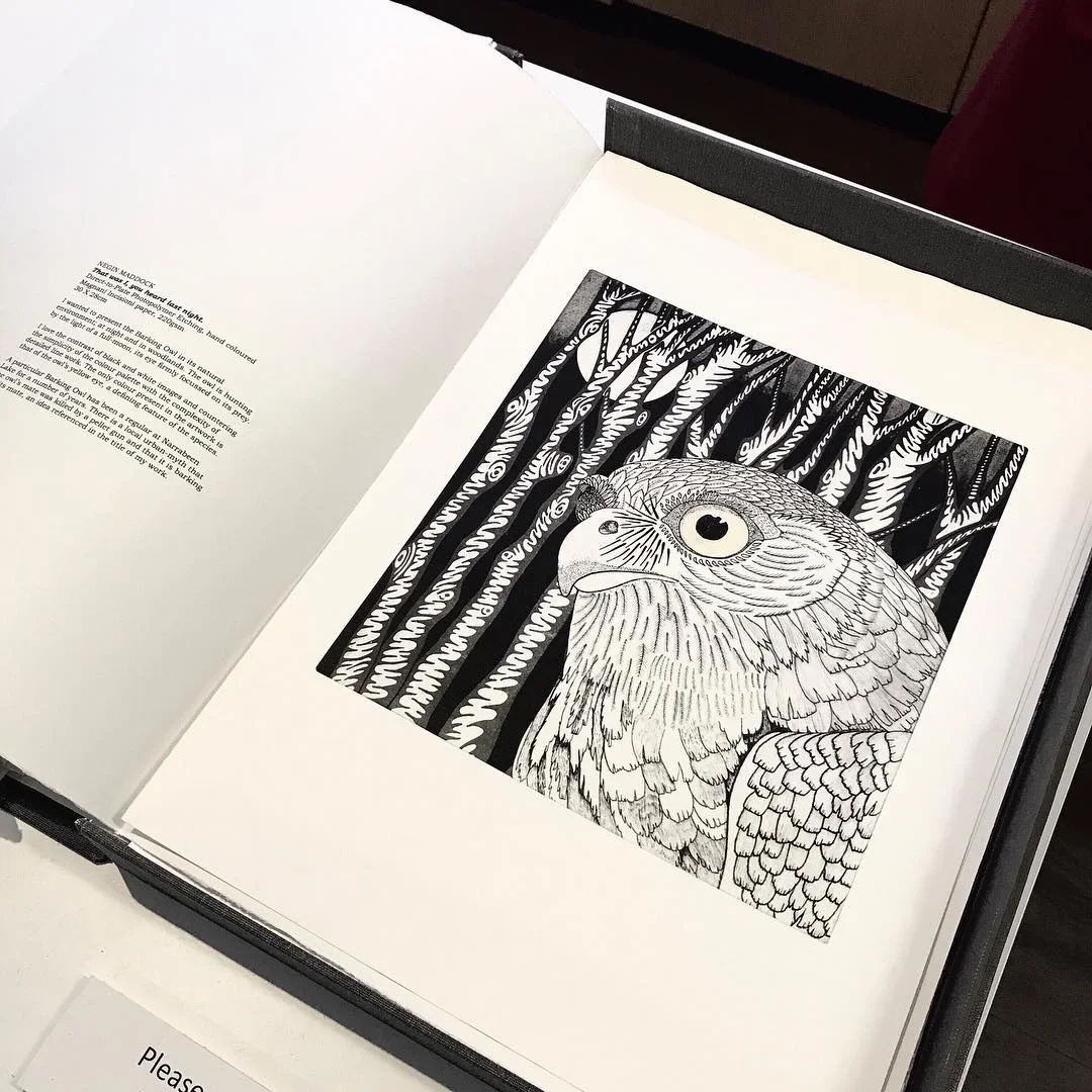 Artist Book: Natural Selection