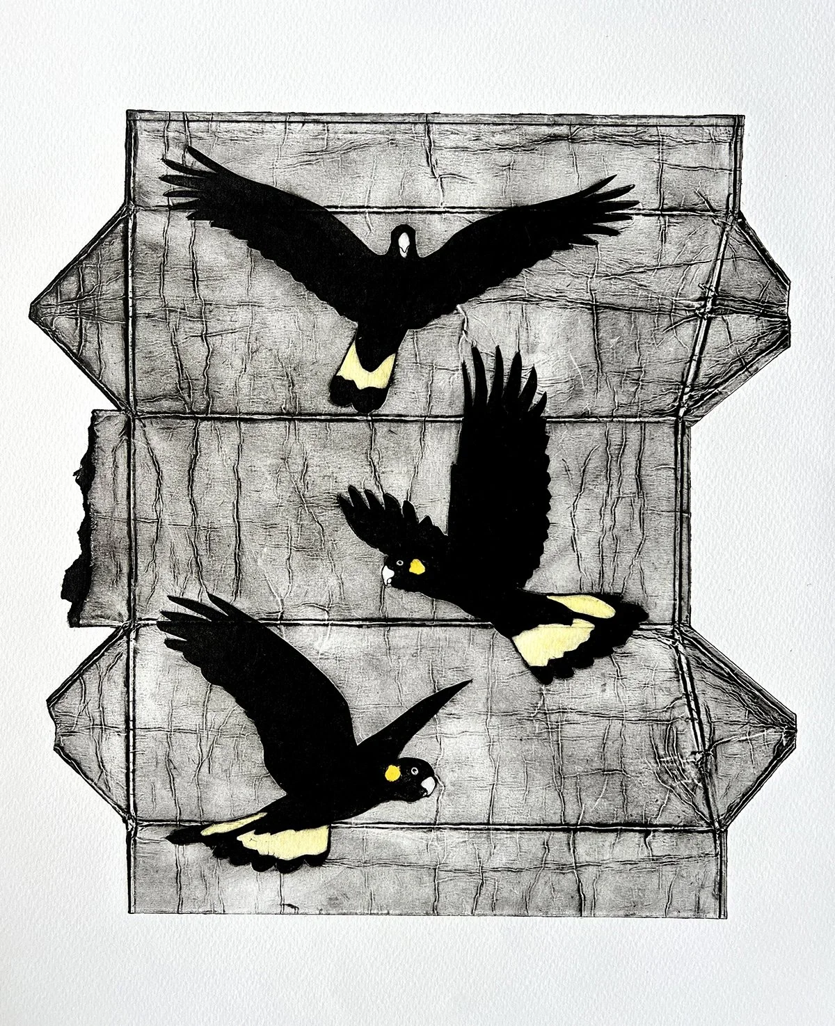 Hornsby Art Prize 2024 - Finalist 