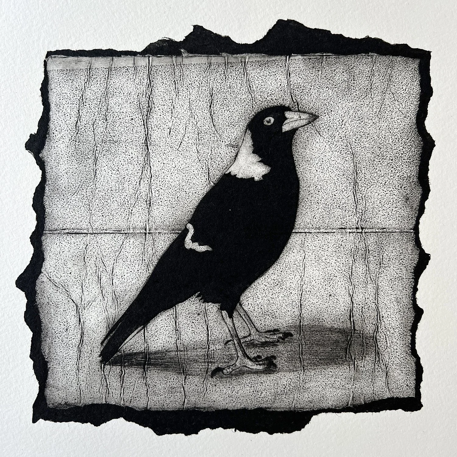 Northern Beaches Environmental Art &amp; Design Prize - Finalist