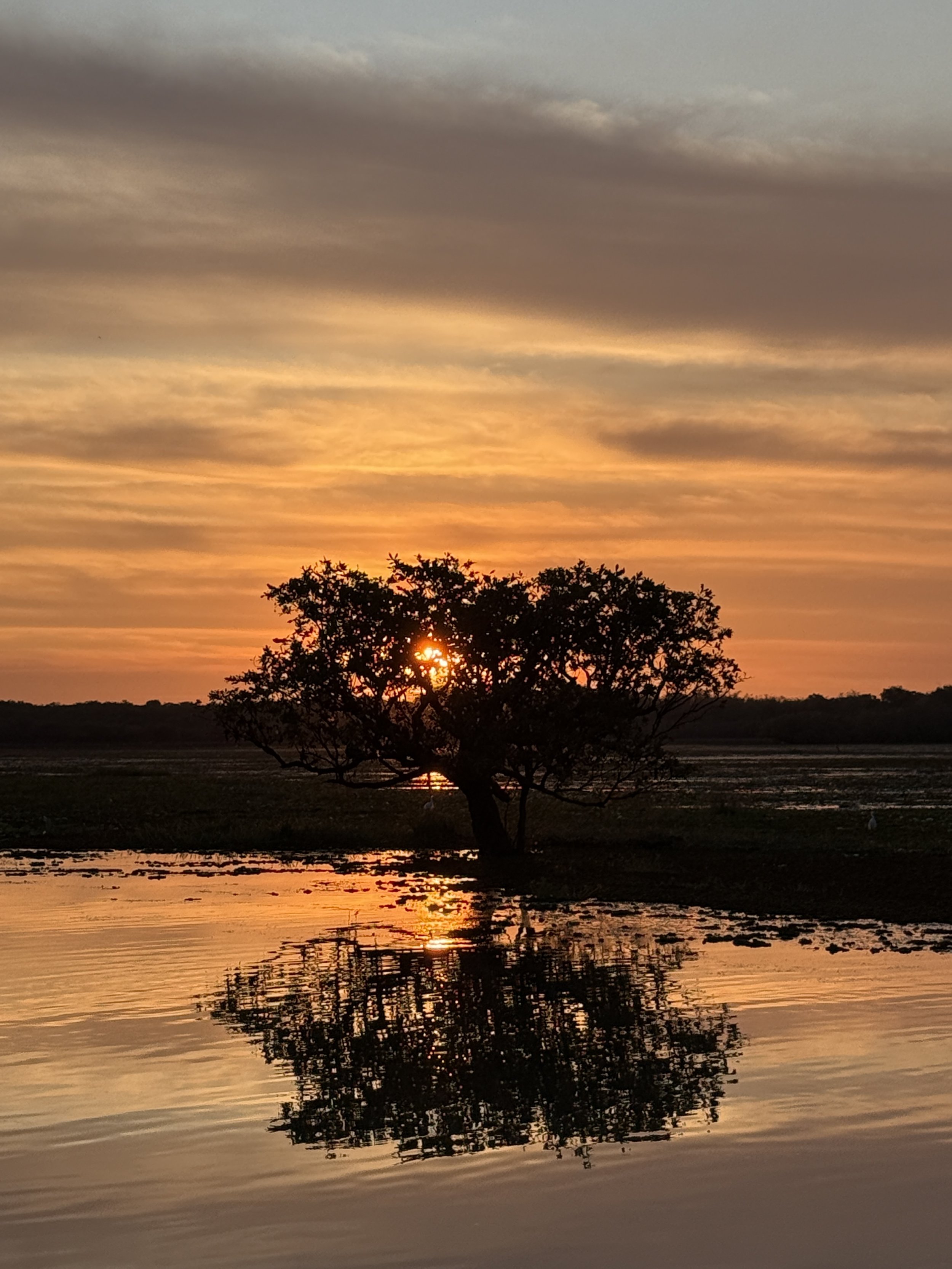 Looking Up: A Trip to Kakadu