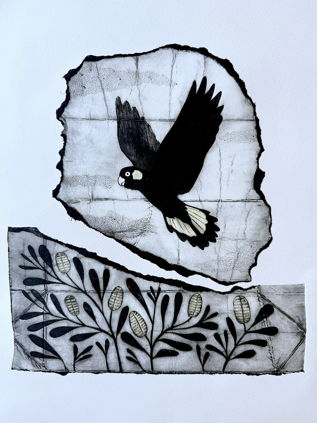 A Big Year for the Warringah Printmakers Annual Exhibition