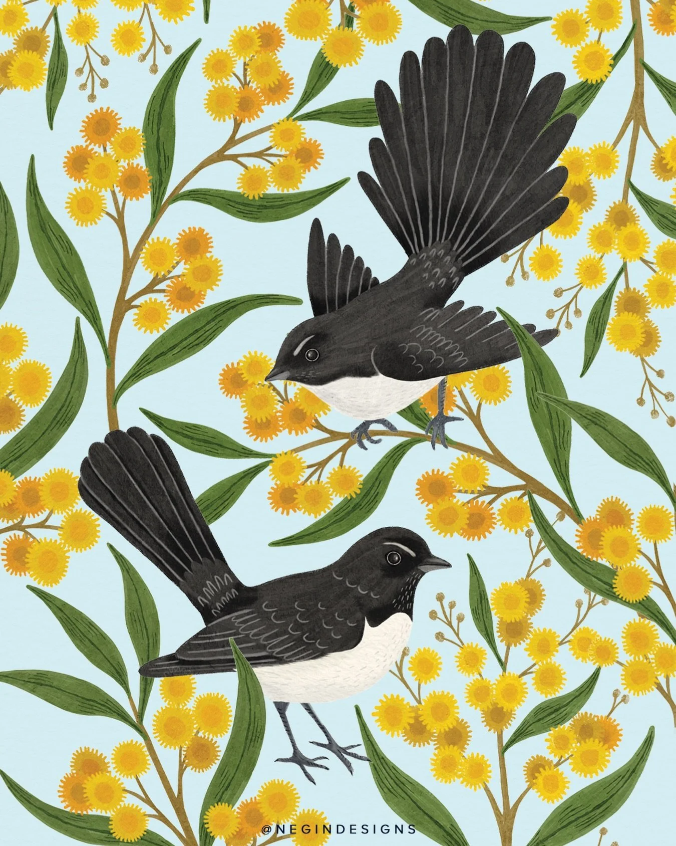 I love our little Willy Wagtails; they may be little but they will gallantly defend their territory no matter the size of the threat! I love their angry little eyebrows, and they voice their opinions very loudly 😆 You can find this print in my shop,