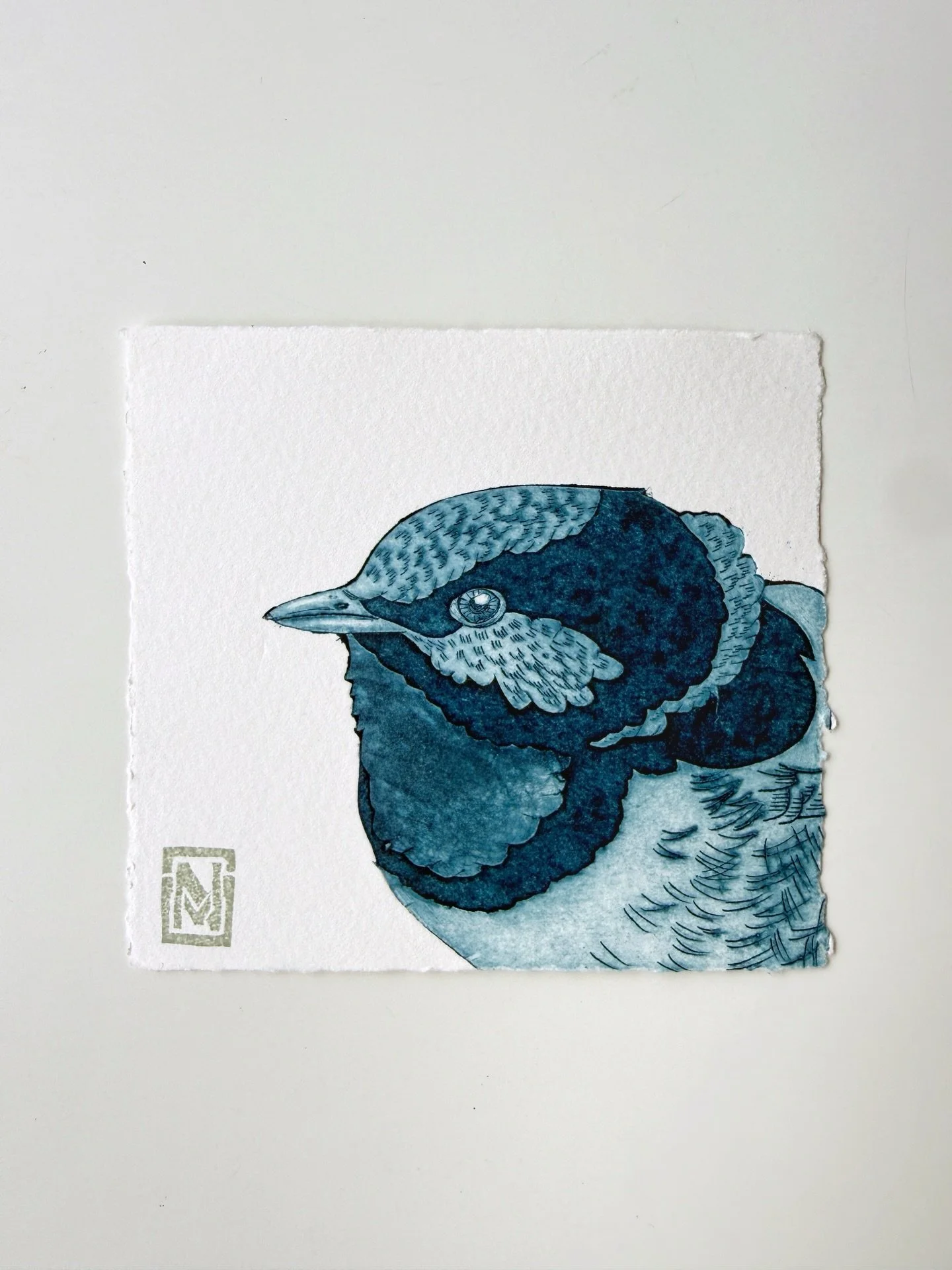 Tiny little Fairy Wren tetrapak prints&hellip; and they are still bigger than the actual bird 🐦 These little portraits will be in the shop soon ☺️ 

#printmaking #handpulledprint #printmakersofinstagram #tetrapakprint #collagraph