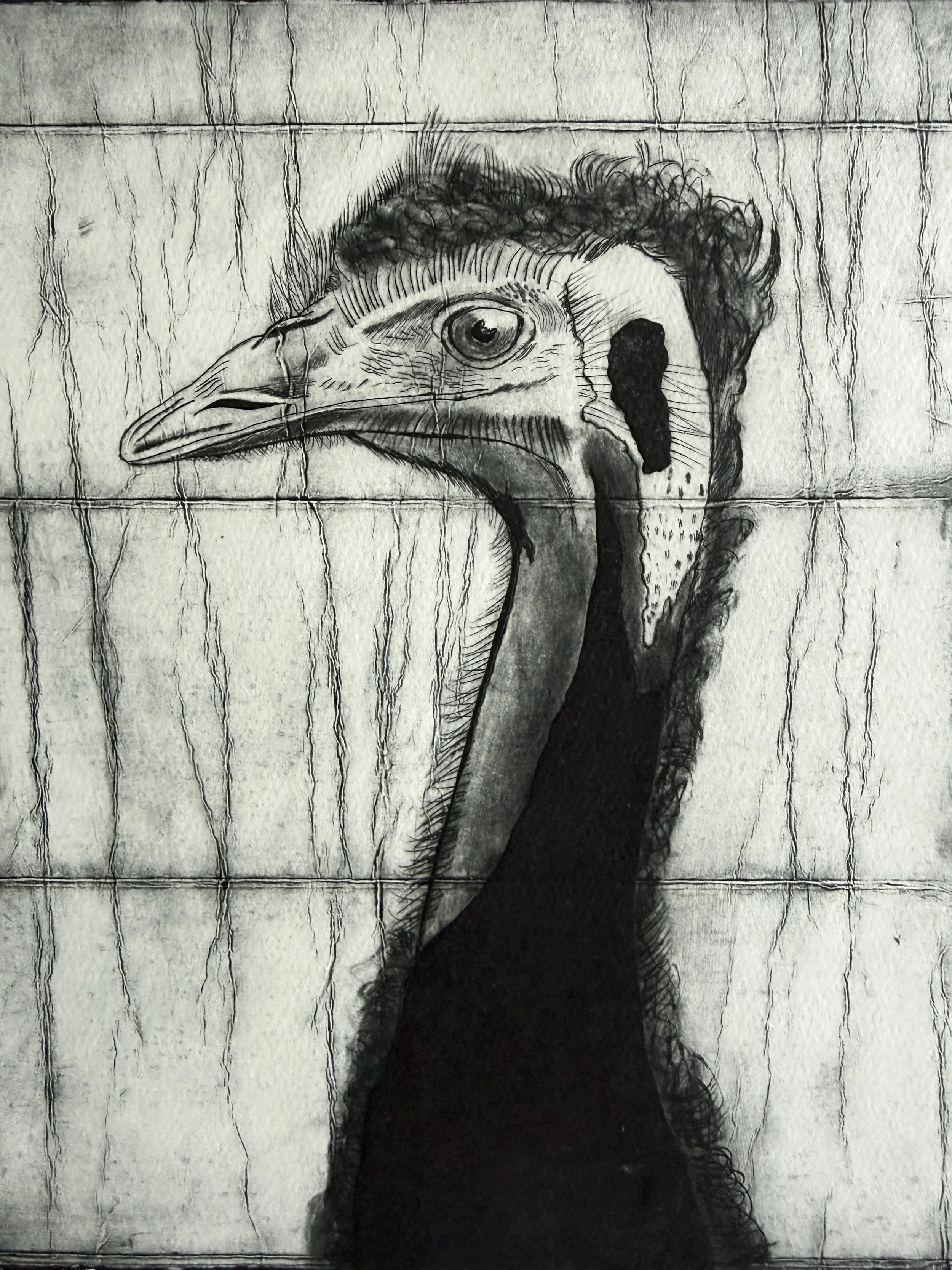 The Emu; so quintessentially Australian! I&rsquo;m actually a little terrified of them, they can be a little unpredictable, so I&rsquo;m happy to admire them from a distance 😆 I made this TetraPak predominantly using drypoint marks, scratching into 
