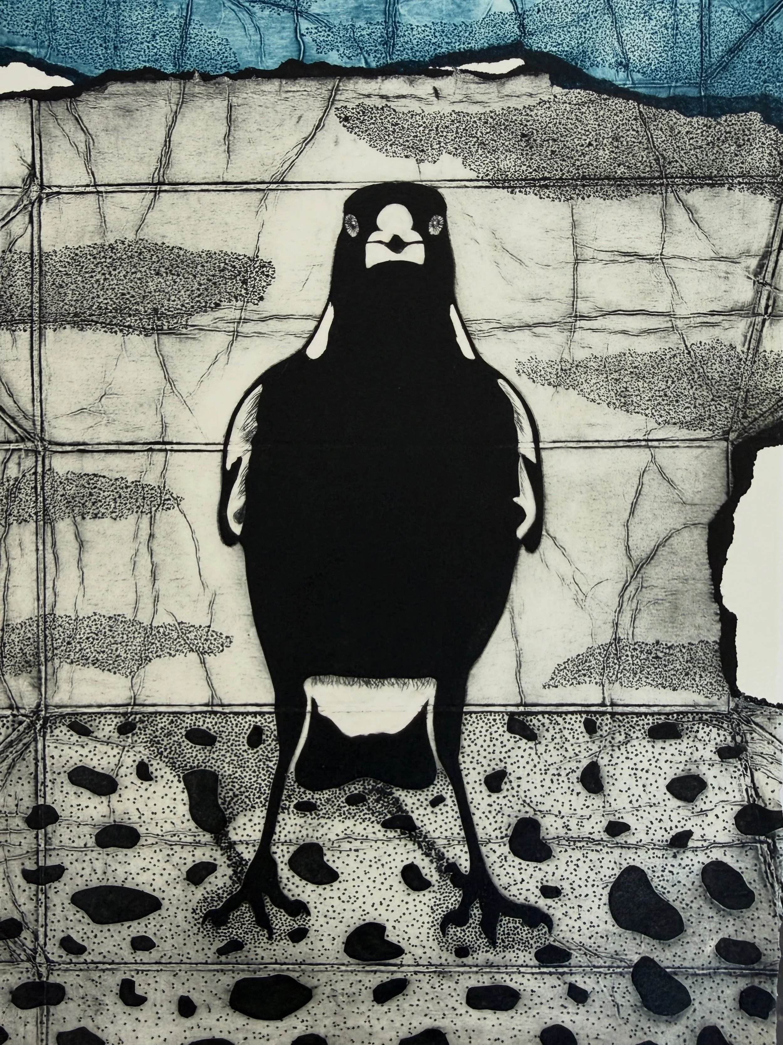 It&rsquo;s August and we know what&rsquo;s around the corner! This magpie asked me to send you a message: &ldquo;I remember your face, and I know what you did last spring.&rdquo; 😜😜 
#tetrapakprint #printmaking #handpulledprint #etching #australian