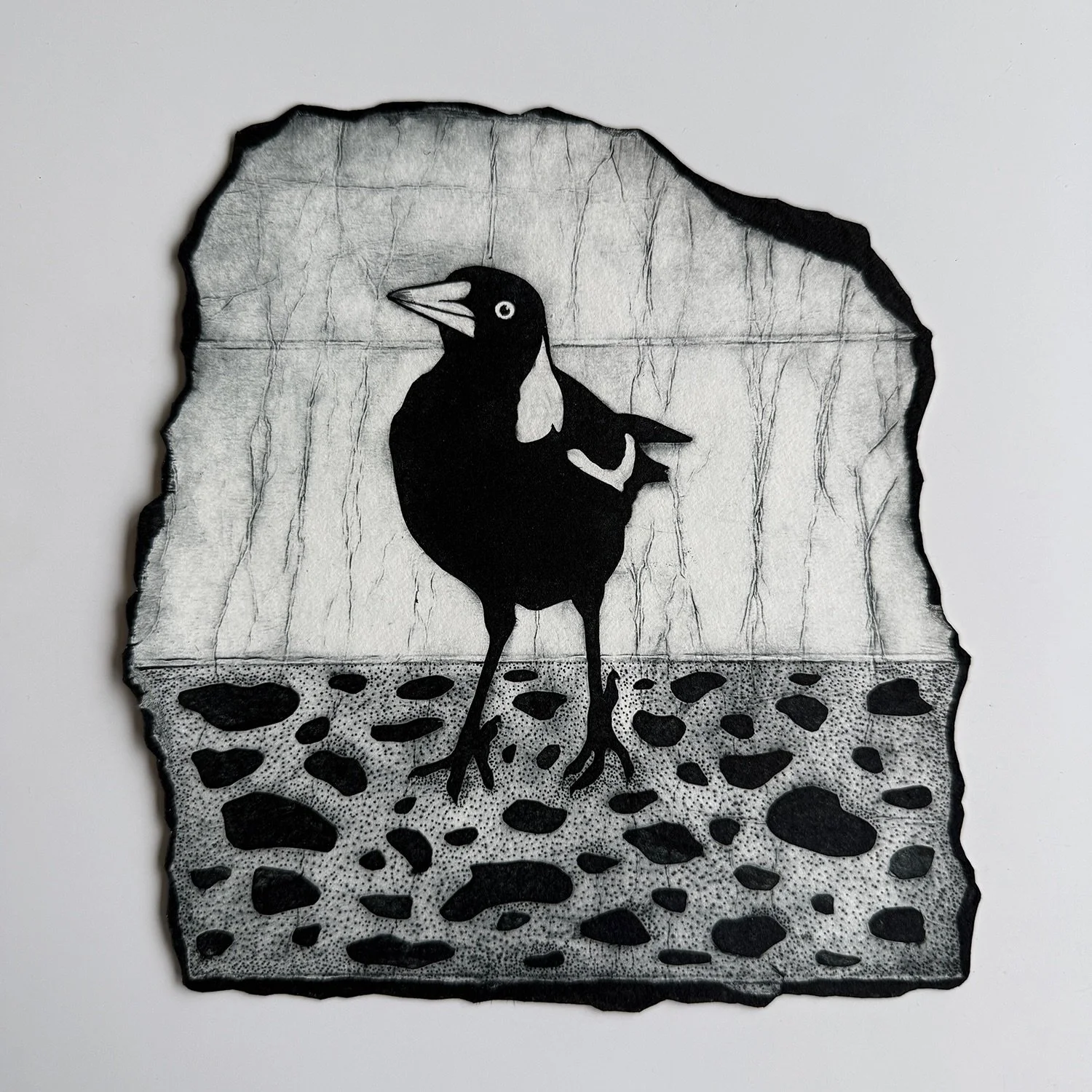 The Environmental Art &amp; Design Prize 2026 opens tonight at Manly Art Gallery &amp; Museum. My TetraPak magpie print &ldquo;What Remains&rdquo; is part of this year&rsquo;s exhibition, and I&rsquo;m honoured to be included alongside so many talent