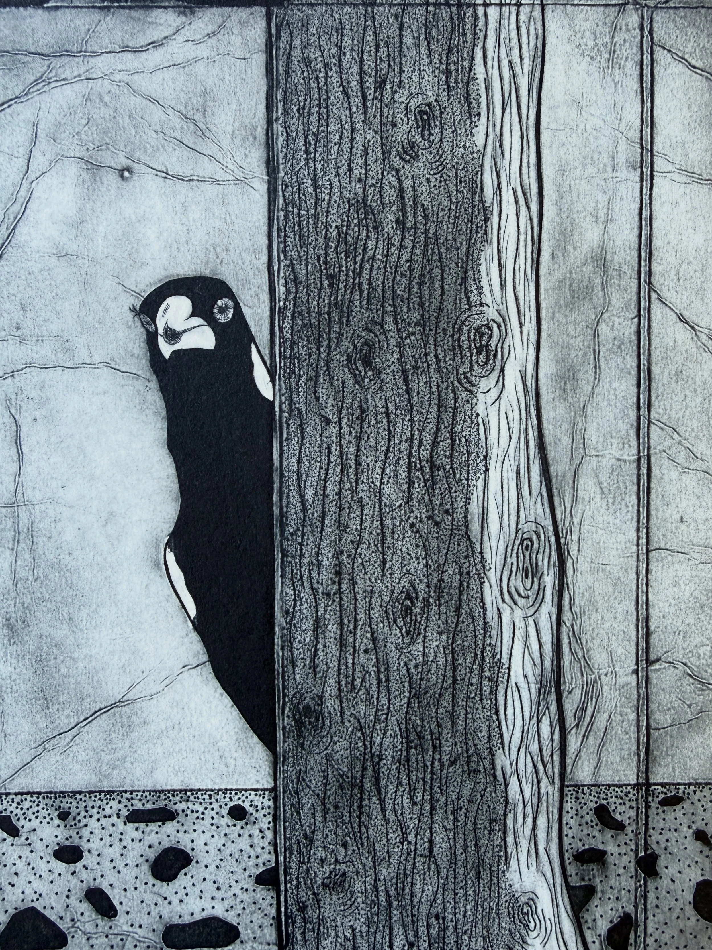 He just came to say Hello ☺️ I really like the range of textures you can get from TetraPak plates; from crisp scratched lines, to these softer, almost aquatint-like tones when the surface is worked in different ways. This one has that mix of rich bla