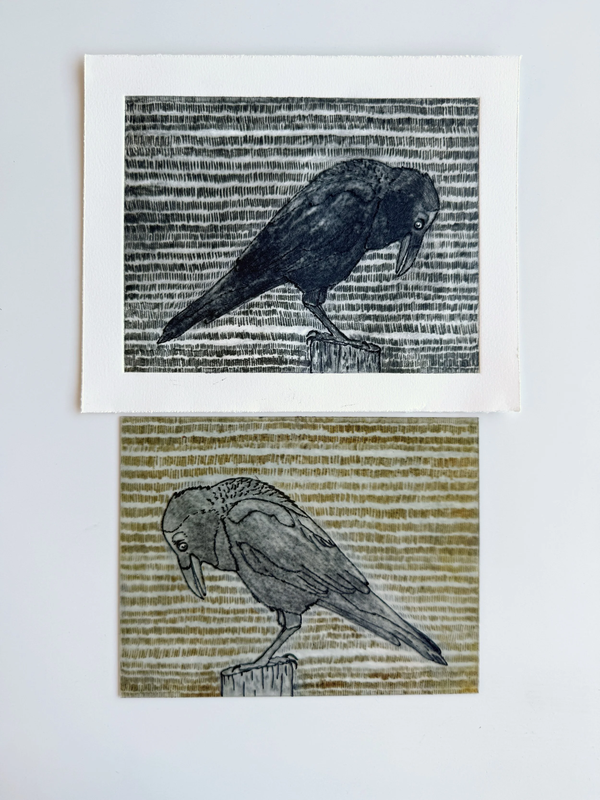 A weekend of experimentation, mark making and, for me, letting go of perfectionism. I spent the weekend at Bronwyn Rees&rsquo;s @printfingers Collagraph &amp; Drypoint workshop at Warringah Printmakers Studio, and it was such a good reminder of how d