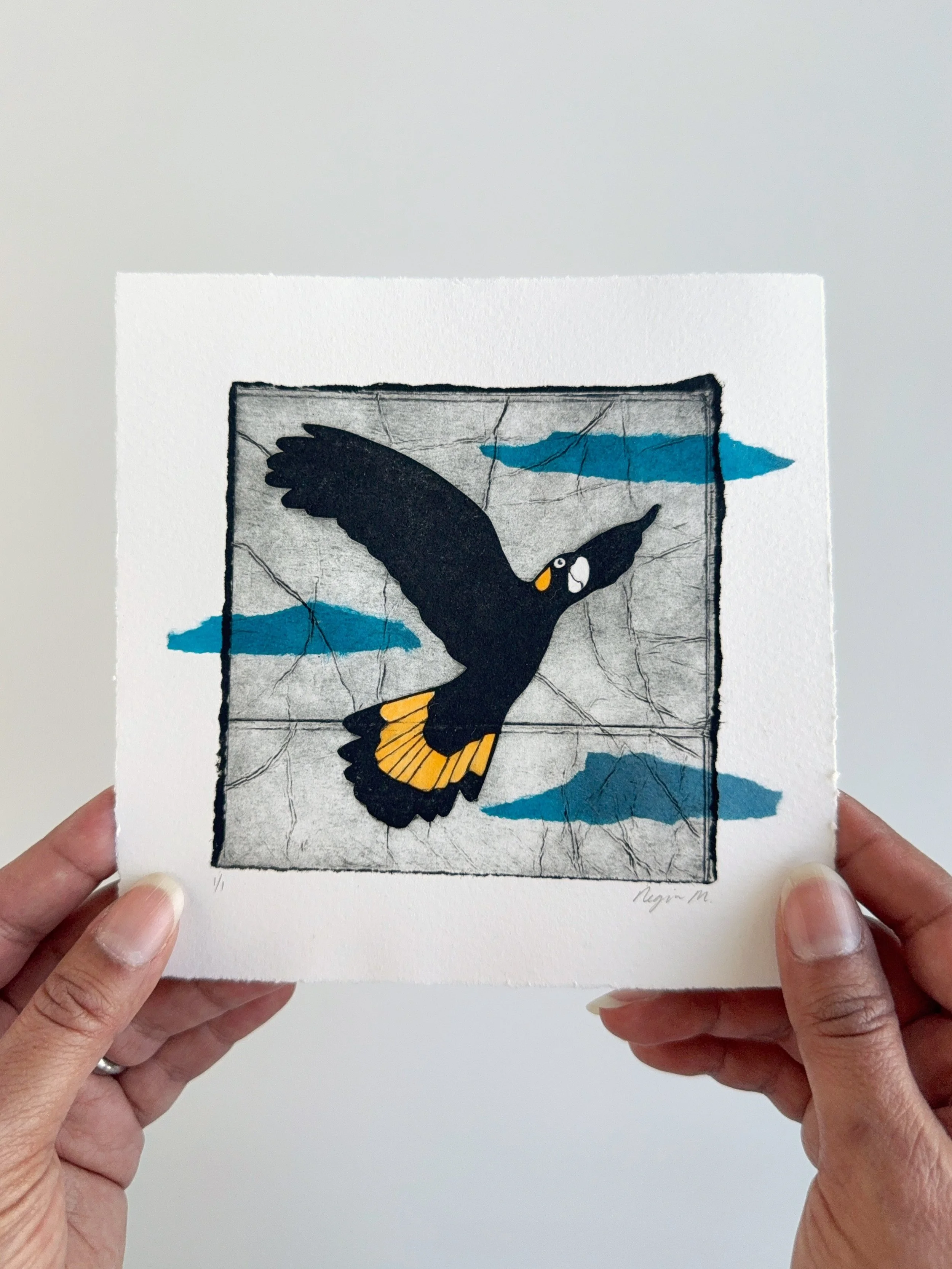 I&rsquo;ve been experimenting with chine-coll&eacute; in my TetraPak prints, using kozo paper that I&rsquo;ve hand coloured with watercolour. I tried a couple of things with this yellow-tailed black cockatoo, including one that didn&rsquo;t work out,