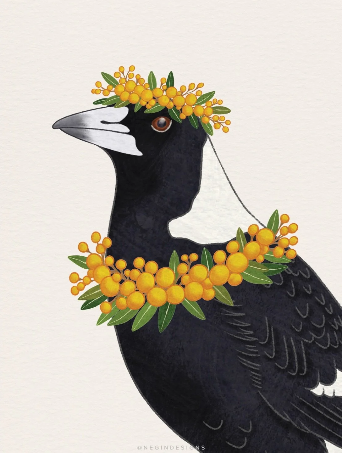 Mr Magpie is getting a bit of a glow up 💫 He&rsquo;s a big fan of glamming it up with some golden wattle 🎶 Gotta be gotta be golden! 🎶
This is one of my new designs and if you like it, you can get it on greeting cards at @earthgreetings 

#digital