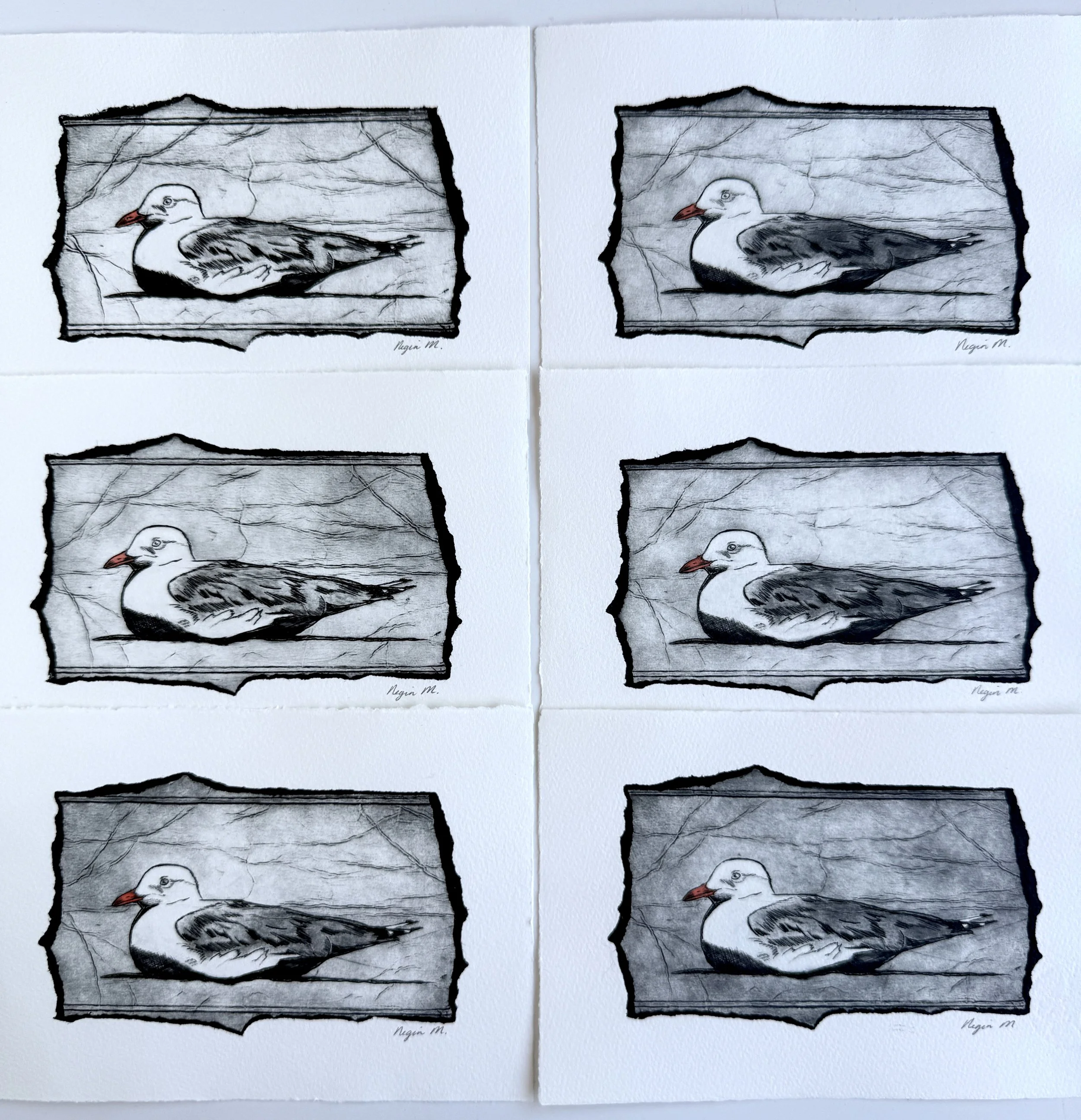 NeginMaddock_TetraPak_Printmaking_RestingSeagull_2.jpg