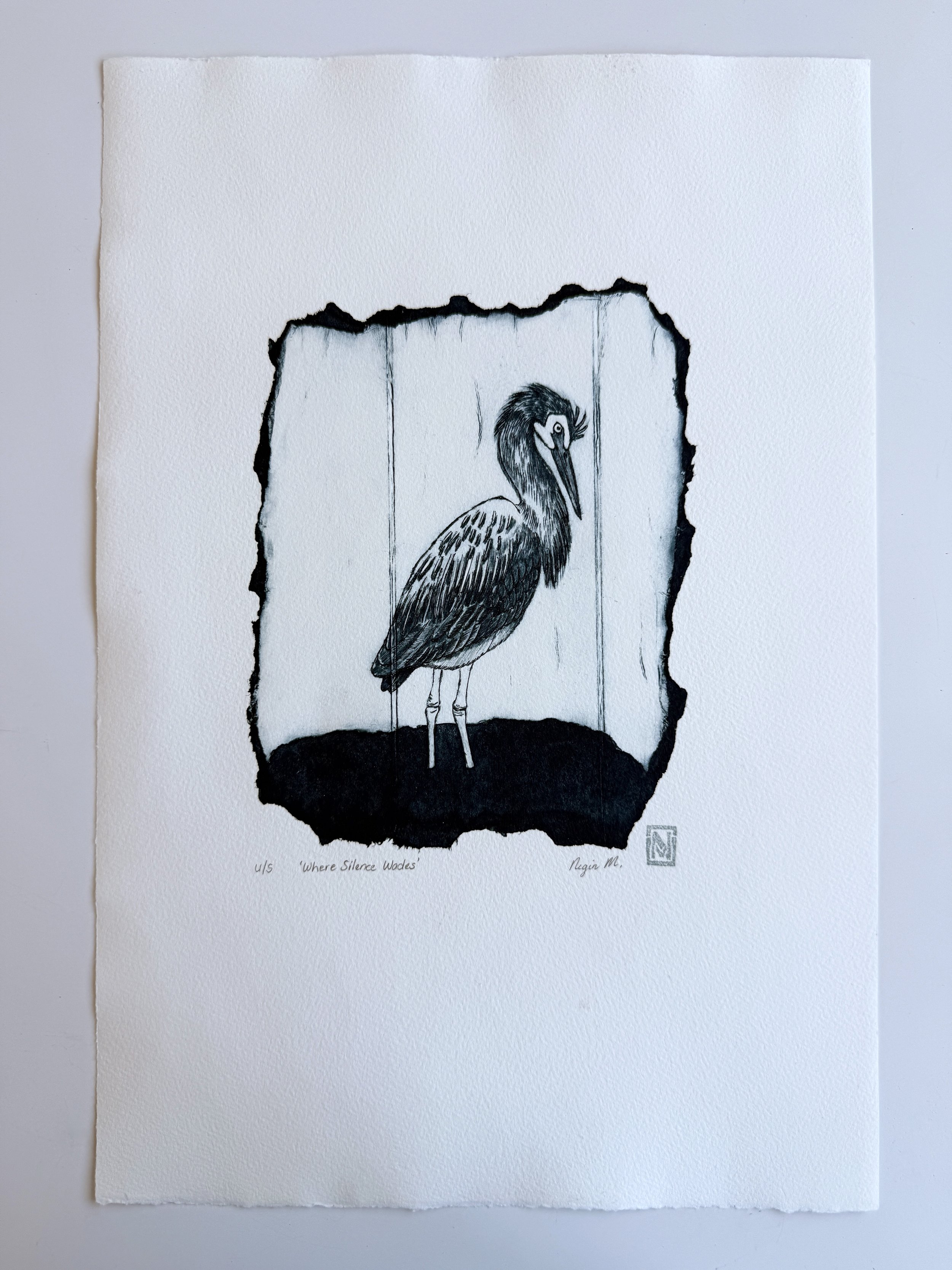 White_Faced_Heron_Print_1.jpg