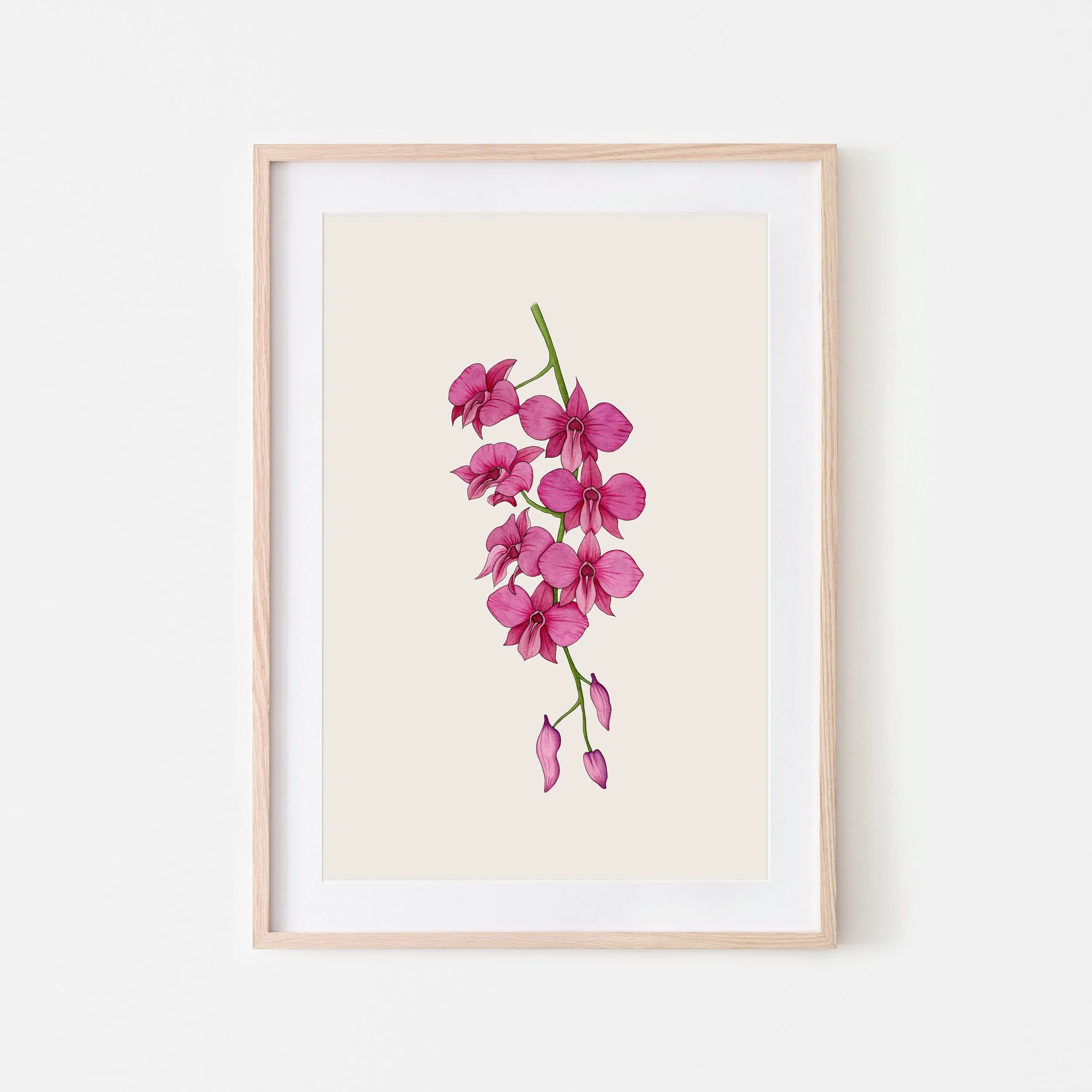 Art Print - COOKTOWN ORCHID
