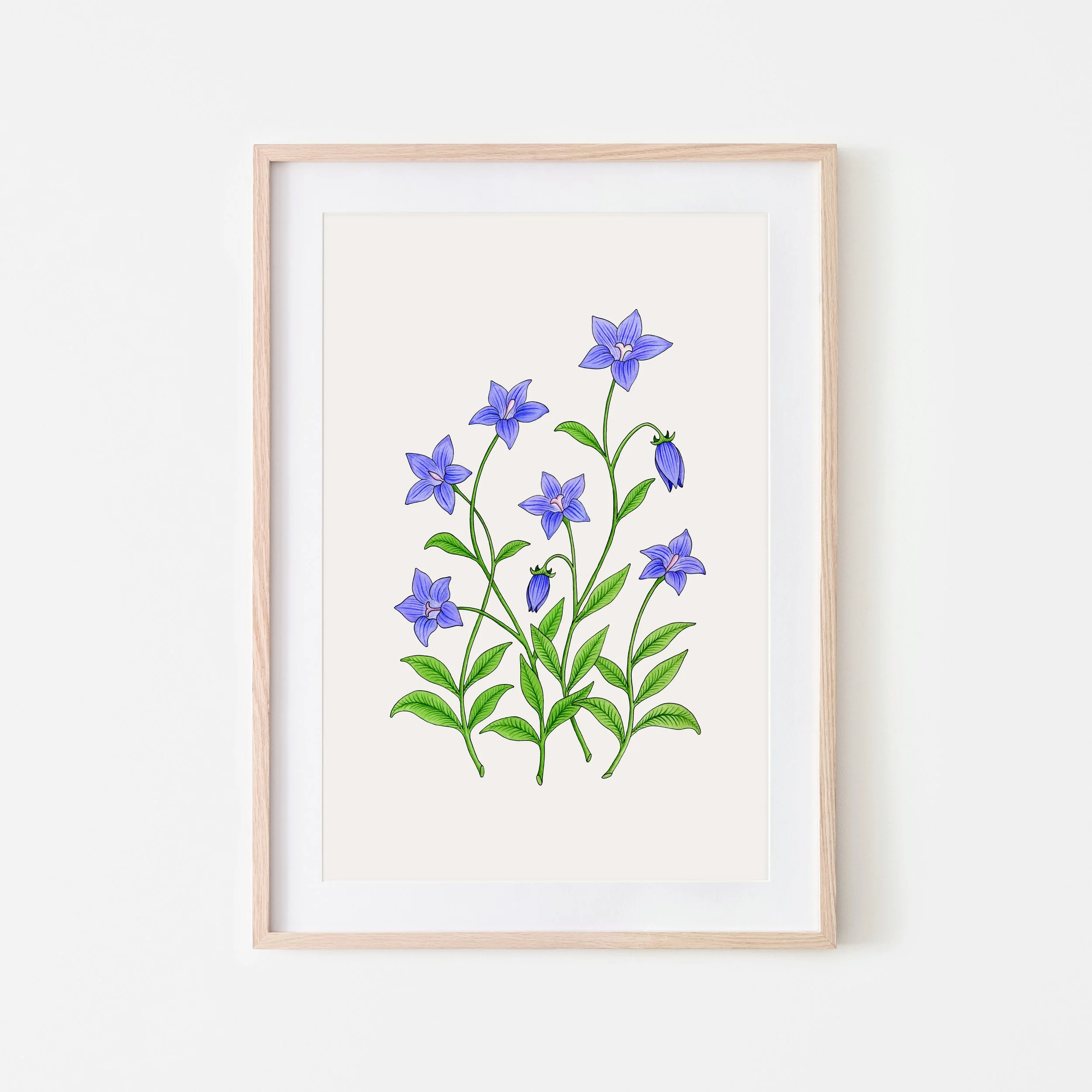 Art Print - ROYAL BLUEBELL